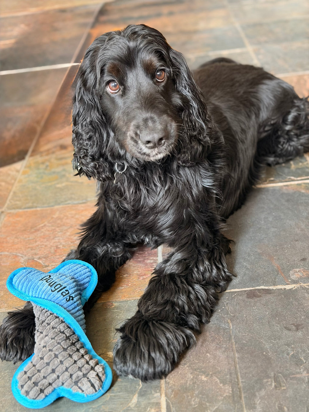 Personalised squeaky bone dog toy