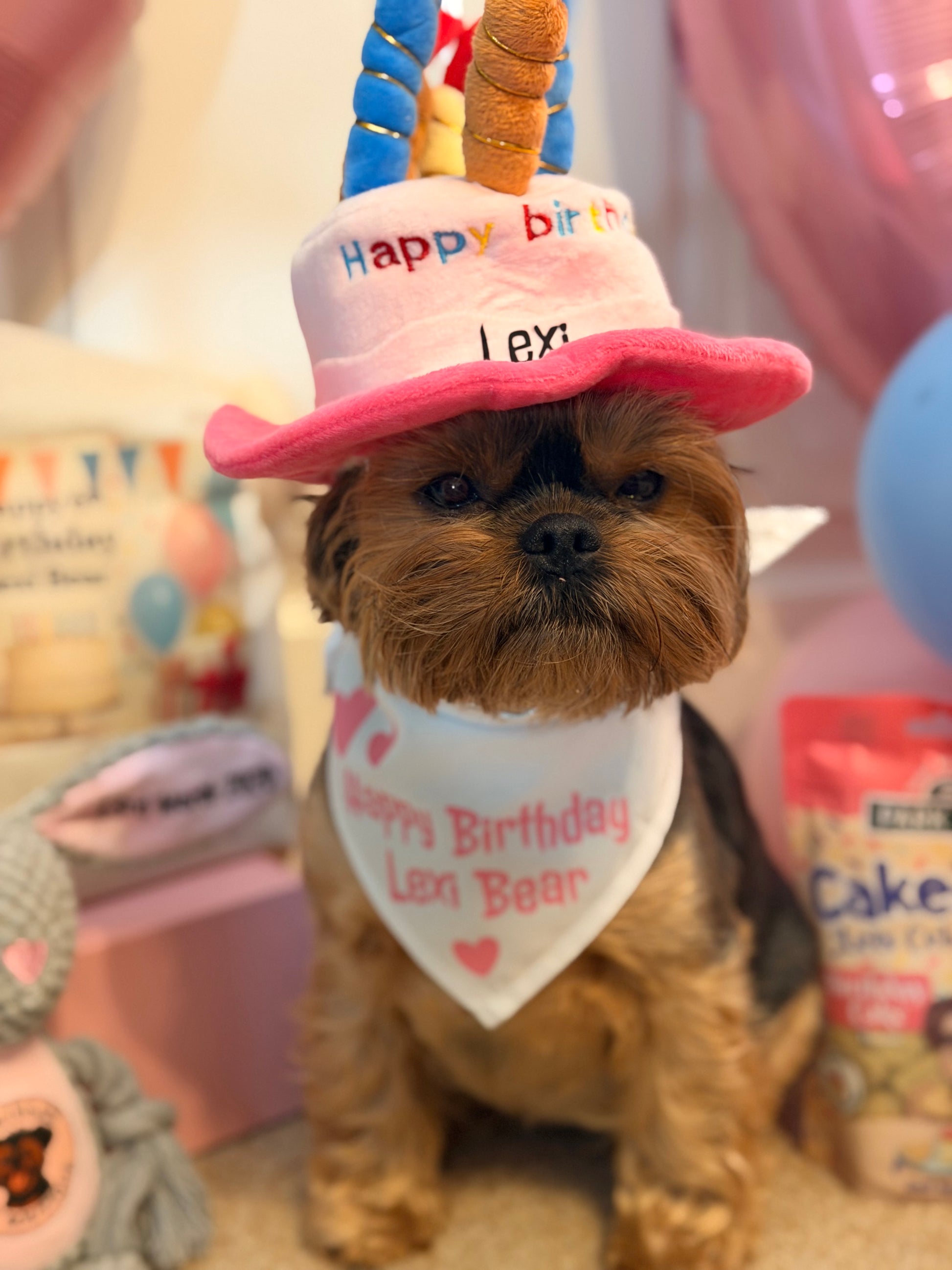 Personalised pet birthday hat