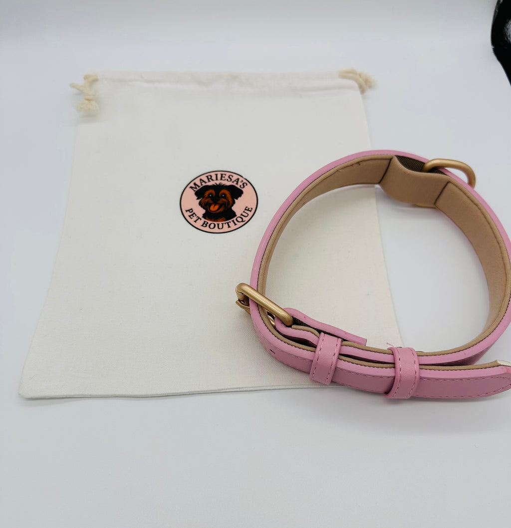 Dog Leather Collar with storage bag
