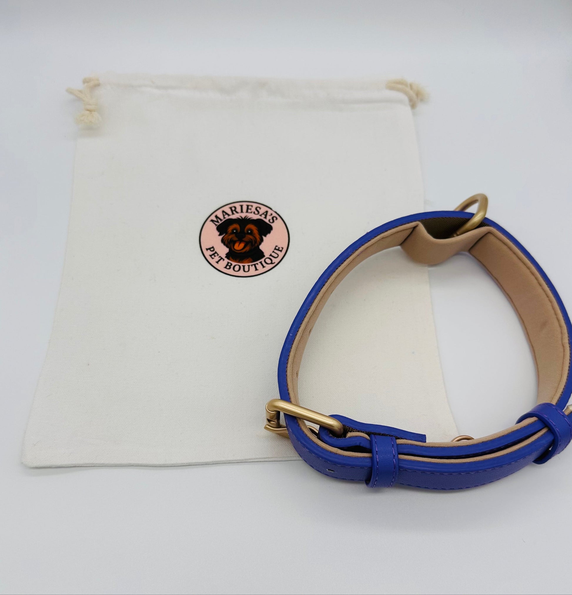 Dachshund Leather Collar with soft padding and charm