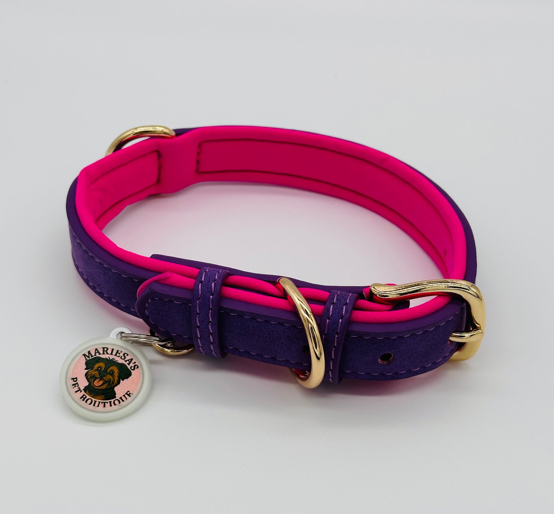 Dachshund Leather Collar with soft padding and charm
