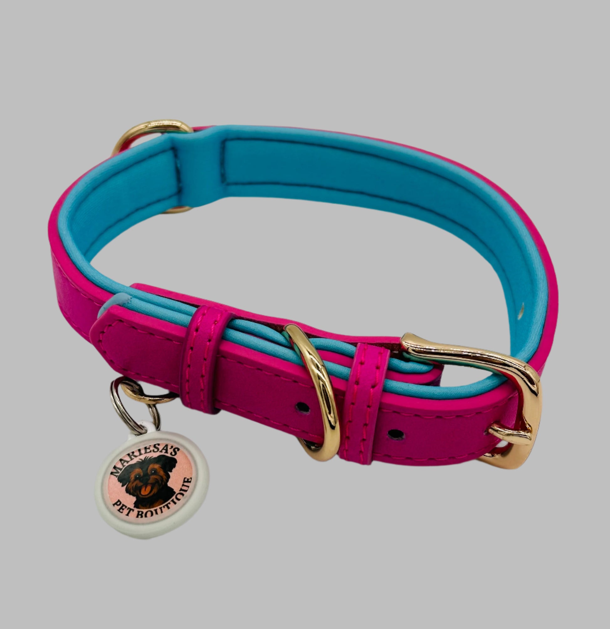 Dachshund Leather Collar with soft padding and charm