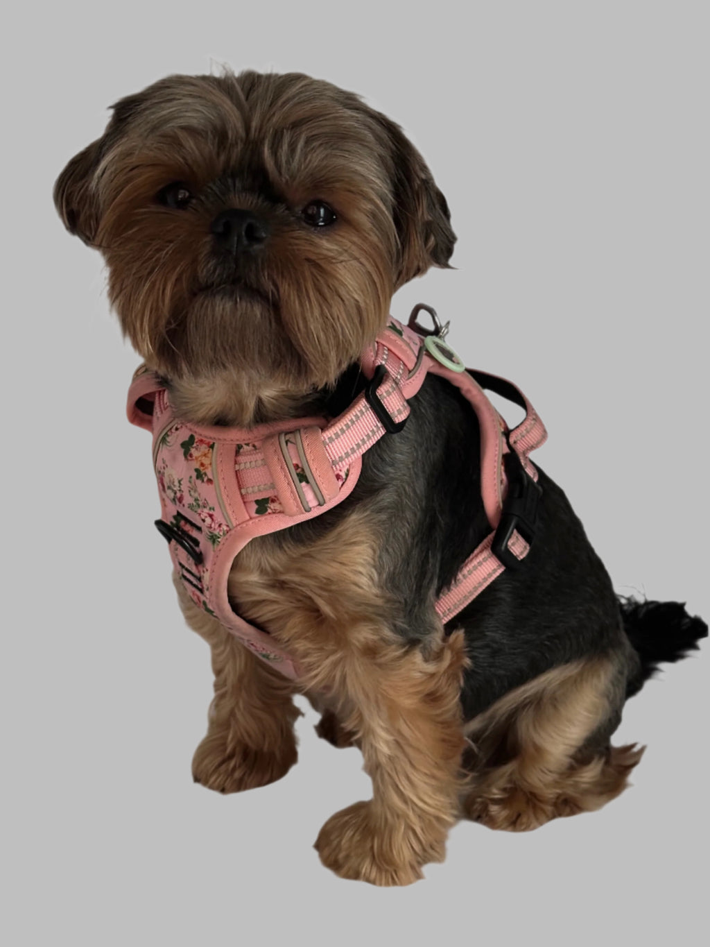 Pink Selection Harnesses