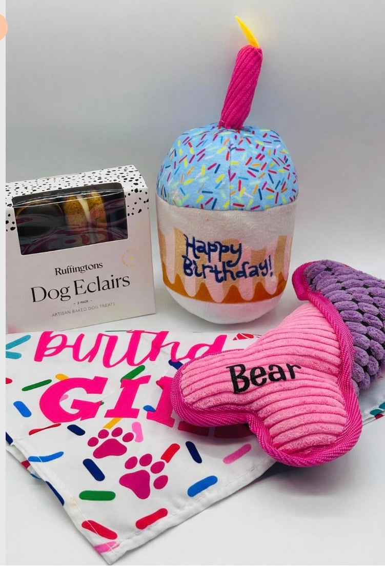 Personalised Birthday Dog Gift Set – Plush Name Bone, Birthday Bandana & Treats