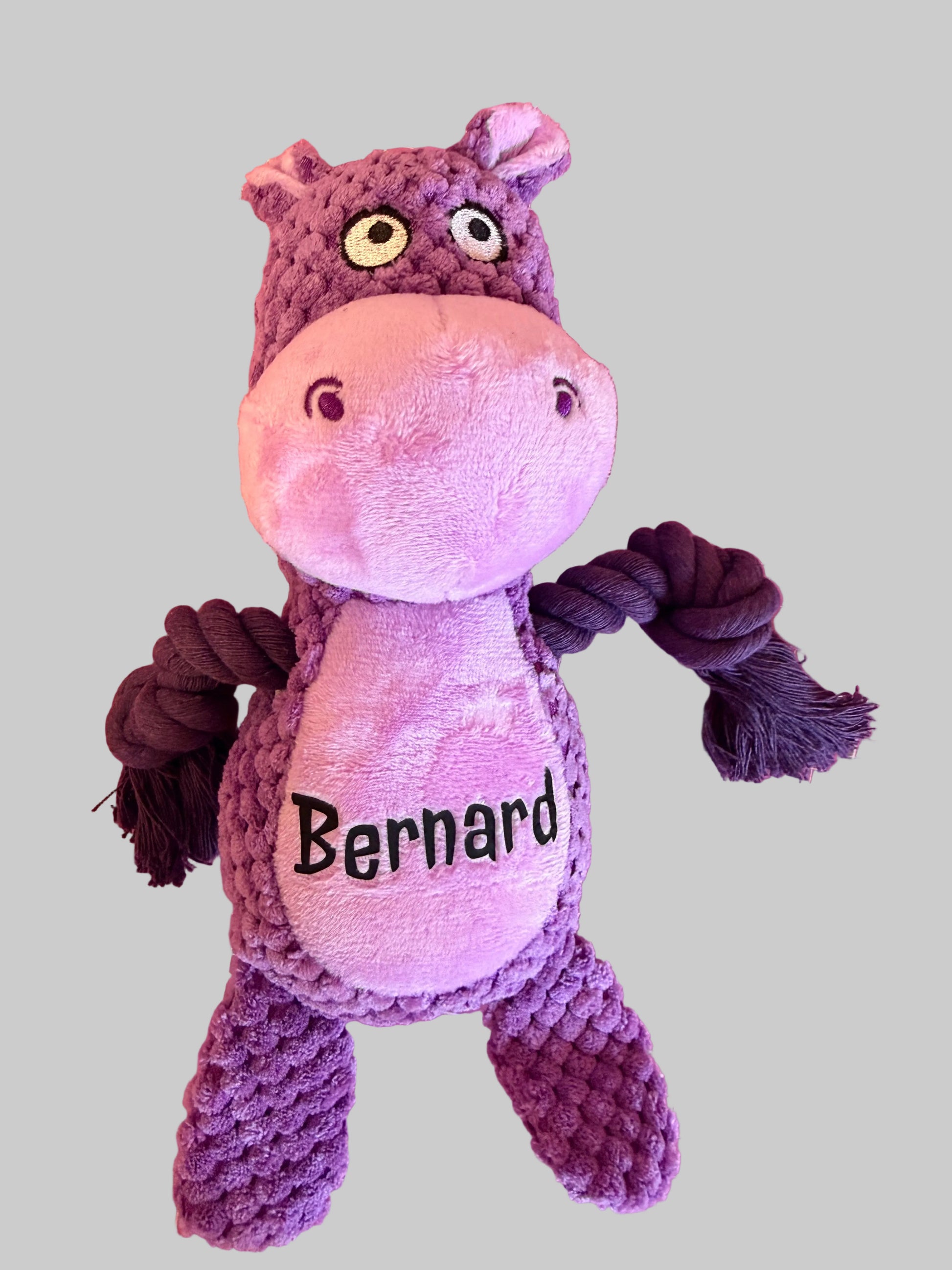 Personalised Plush Dog Toy