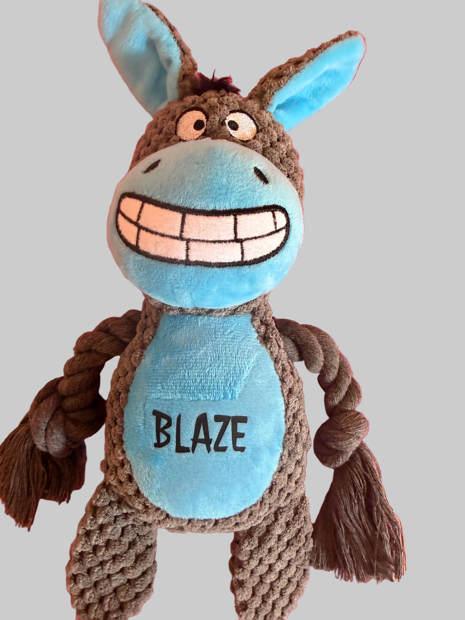 Personalised Plush Dog Toy