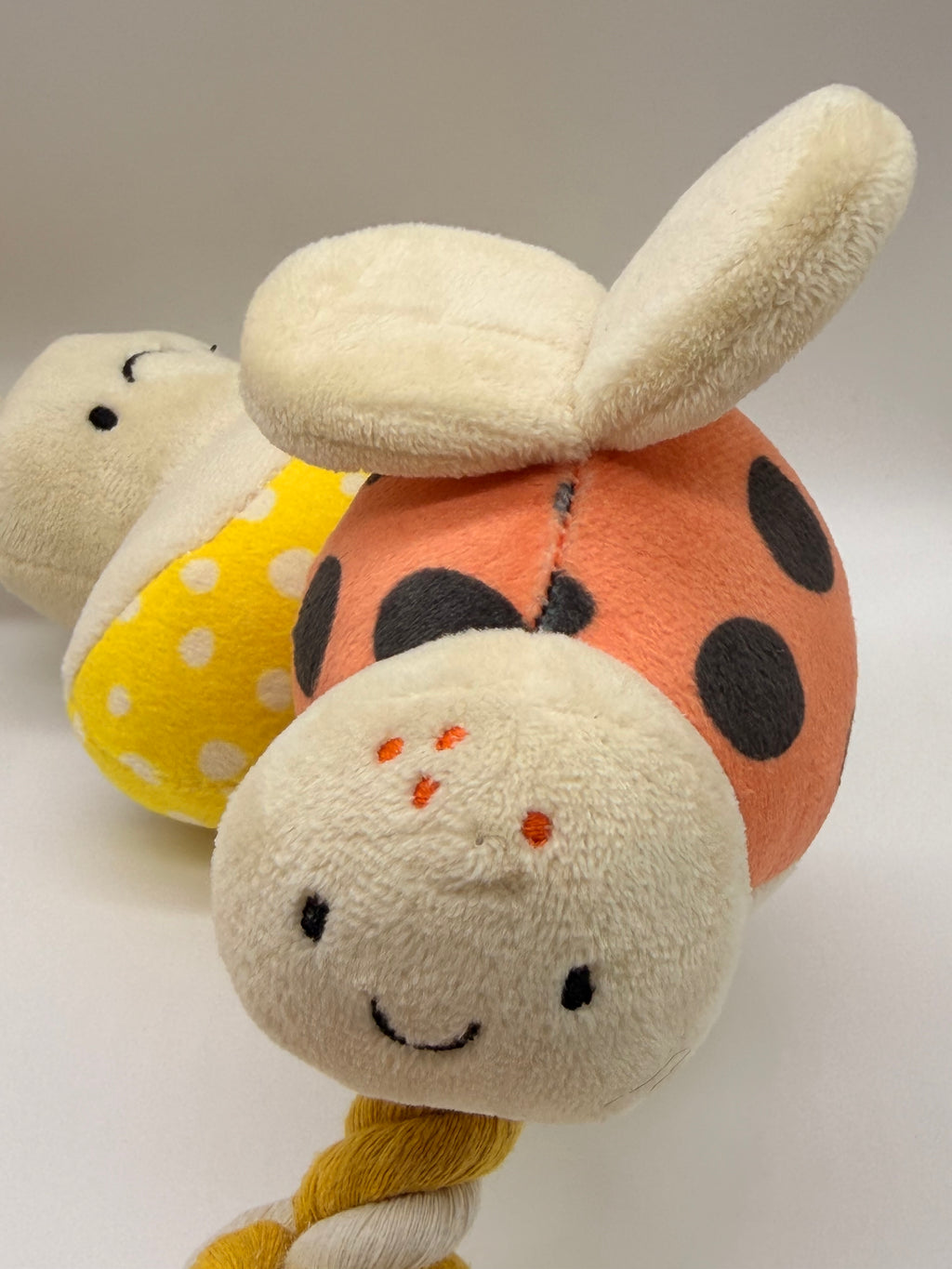 Personalised puppy and small dog rope toy