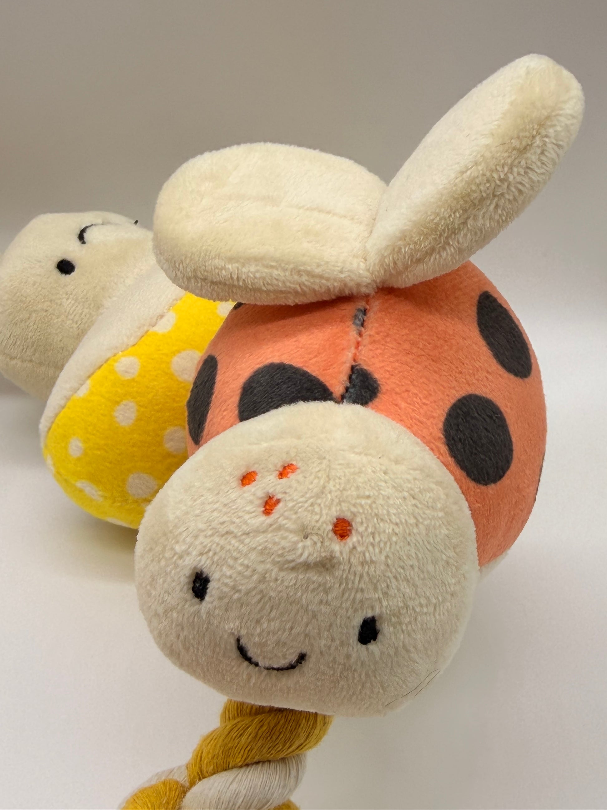 Personalised puppy and small dog rope toy