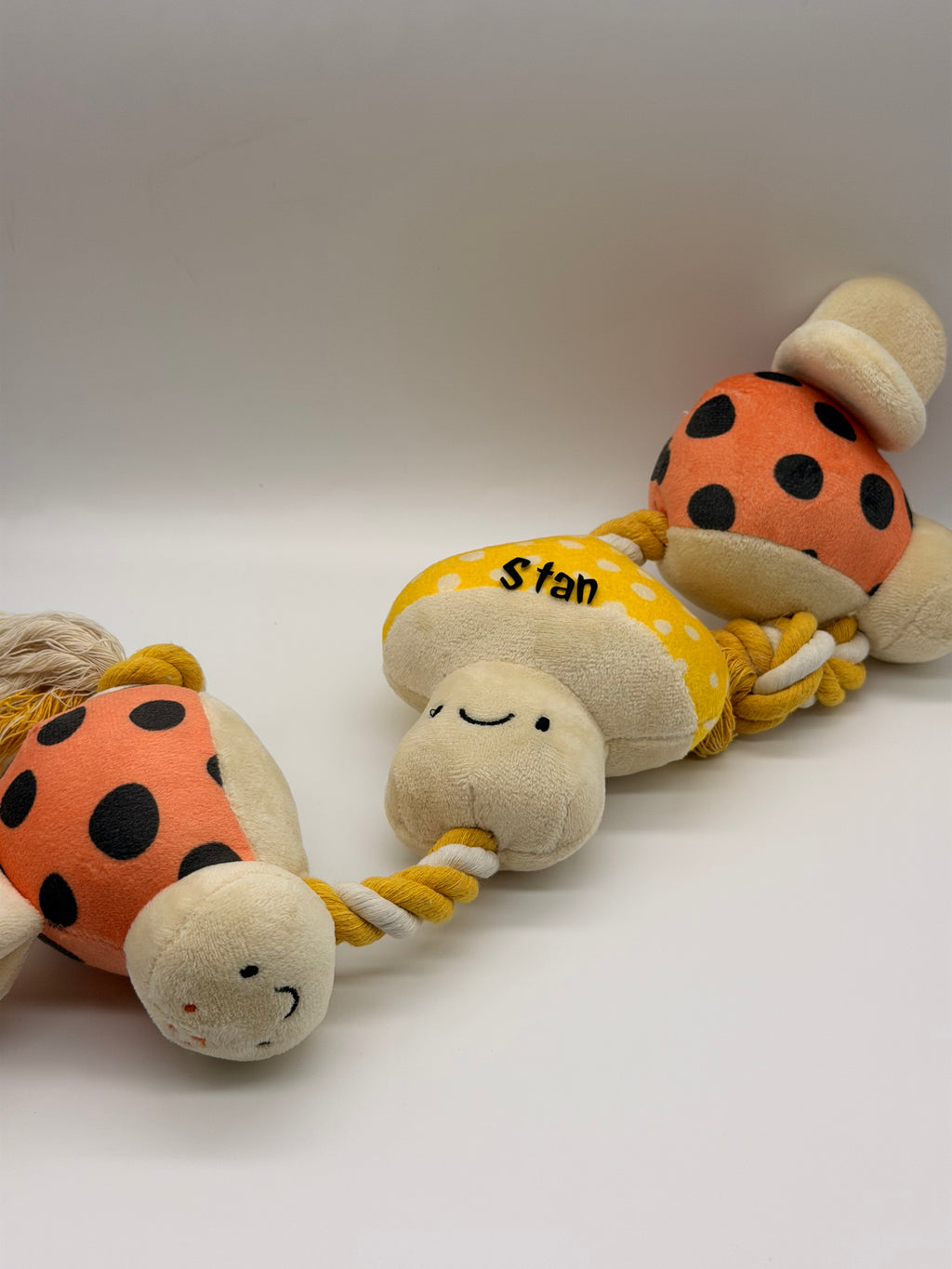 Personalised puppy and small dog rope toy