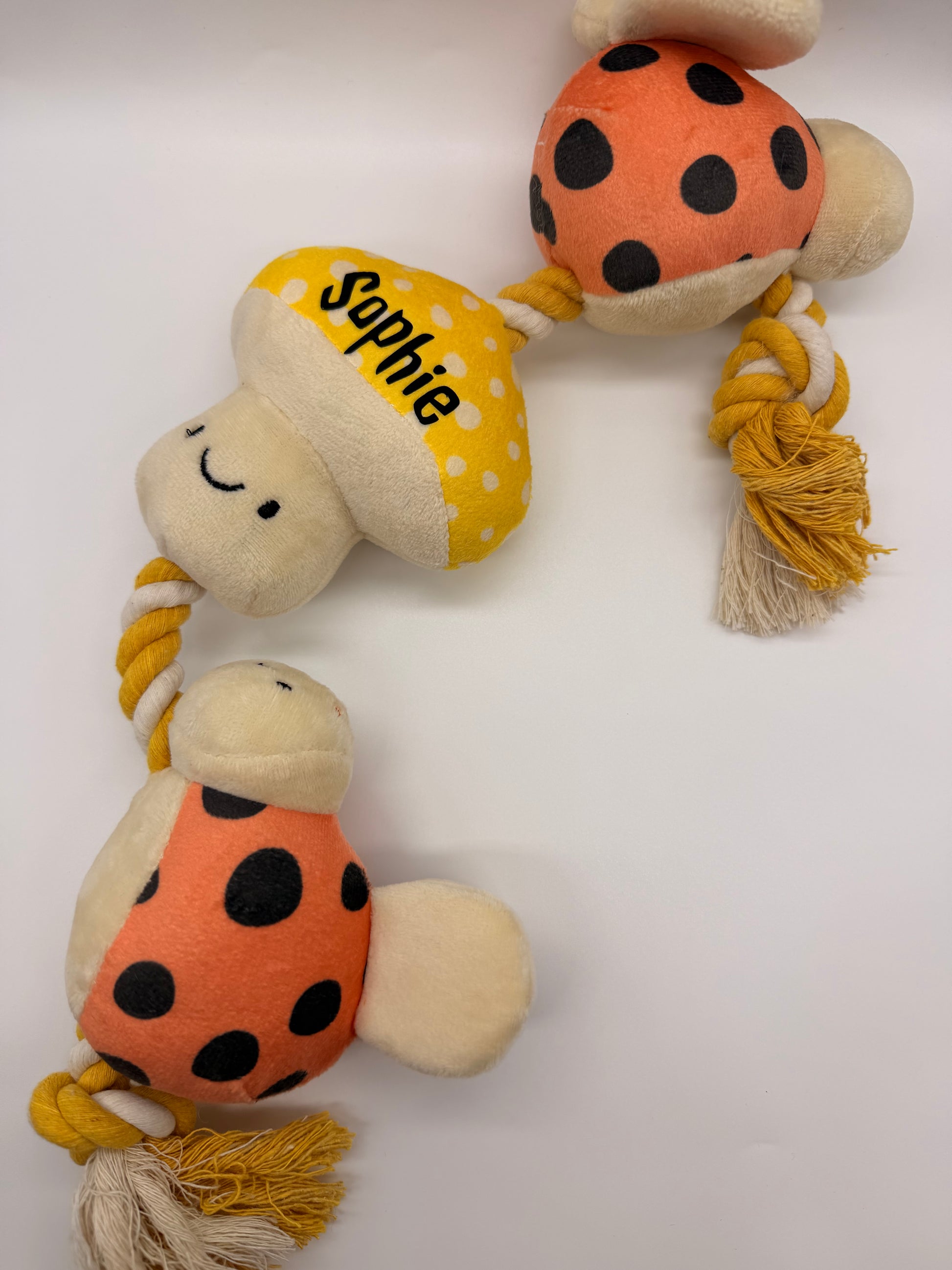 Personalised puppy and small dog rope toy