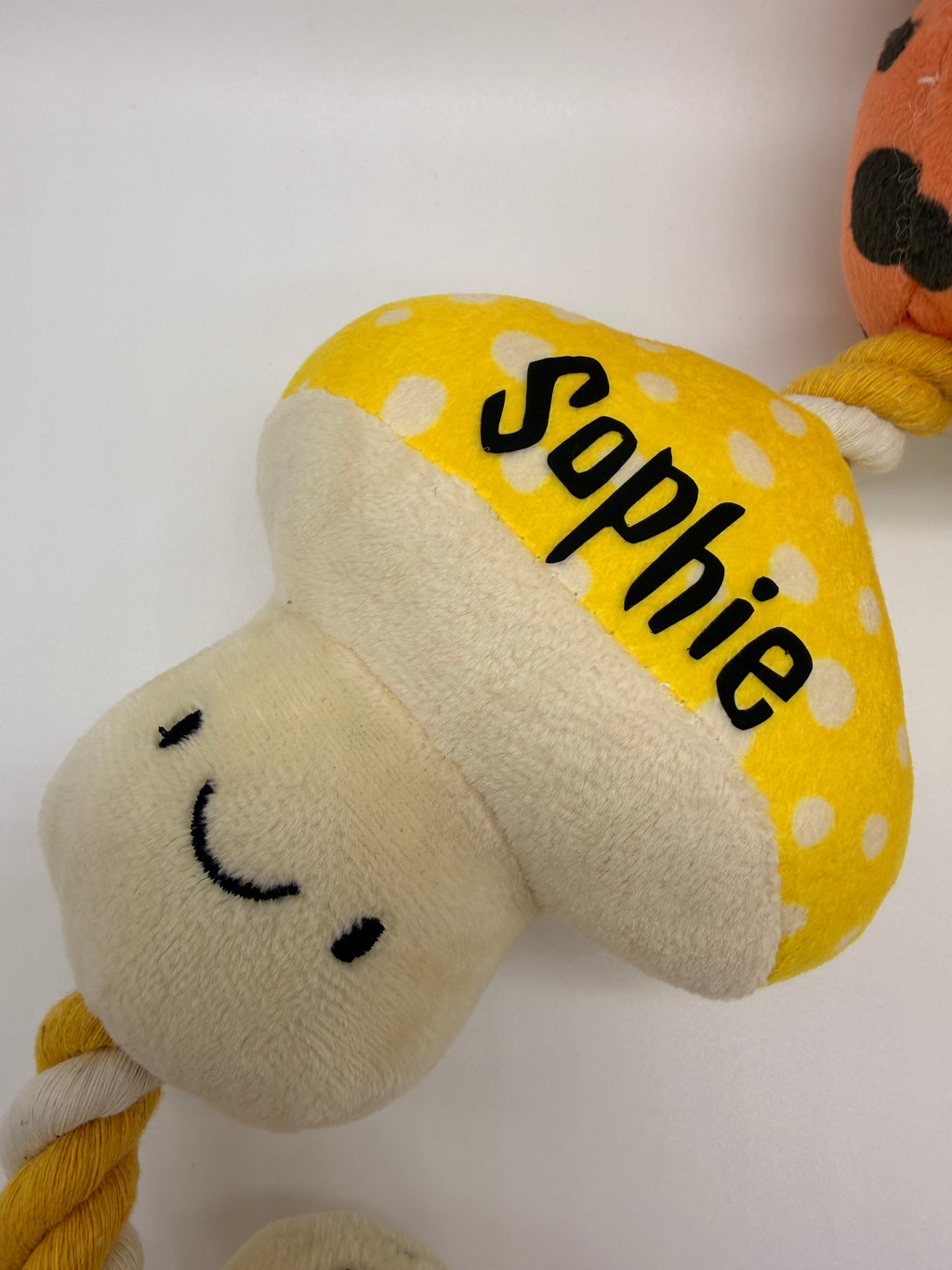 Personalised puppy and small dog rope toy