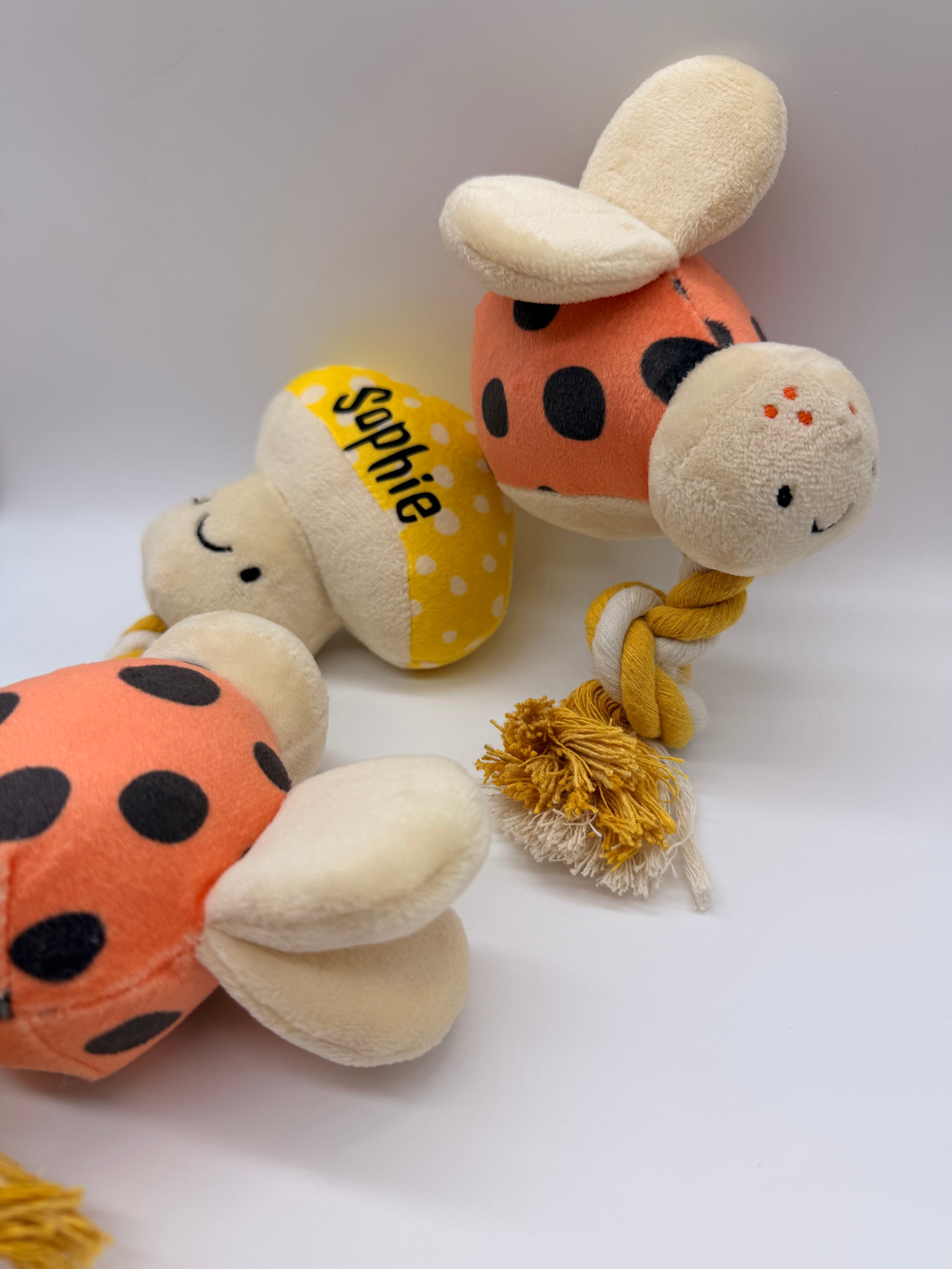 Personalised puppy and small dog rope toy
