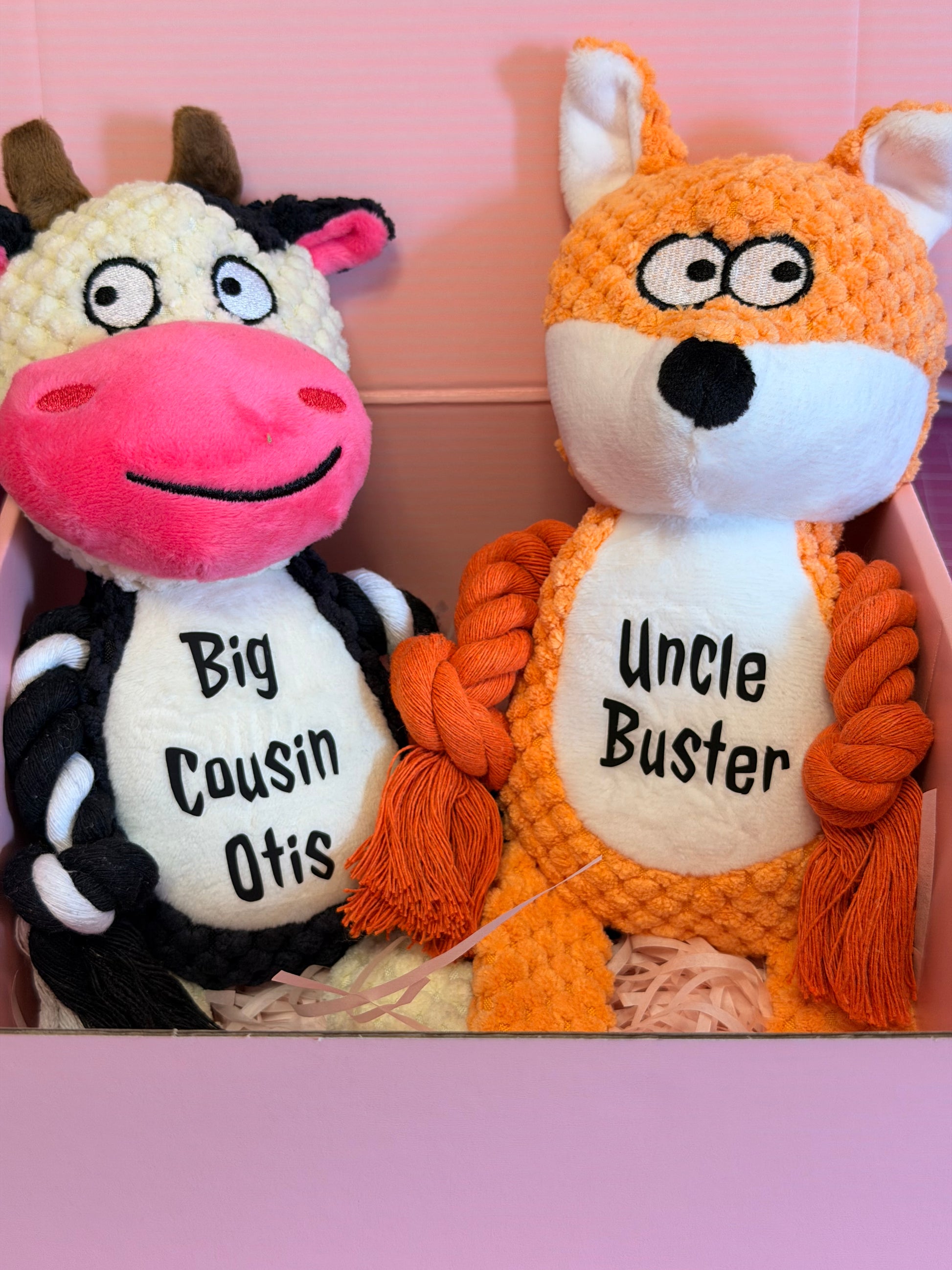 Personalised Plush Dog Toy