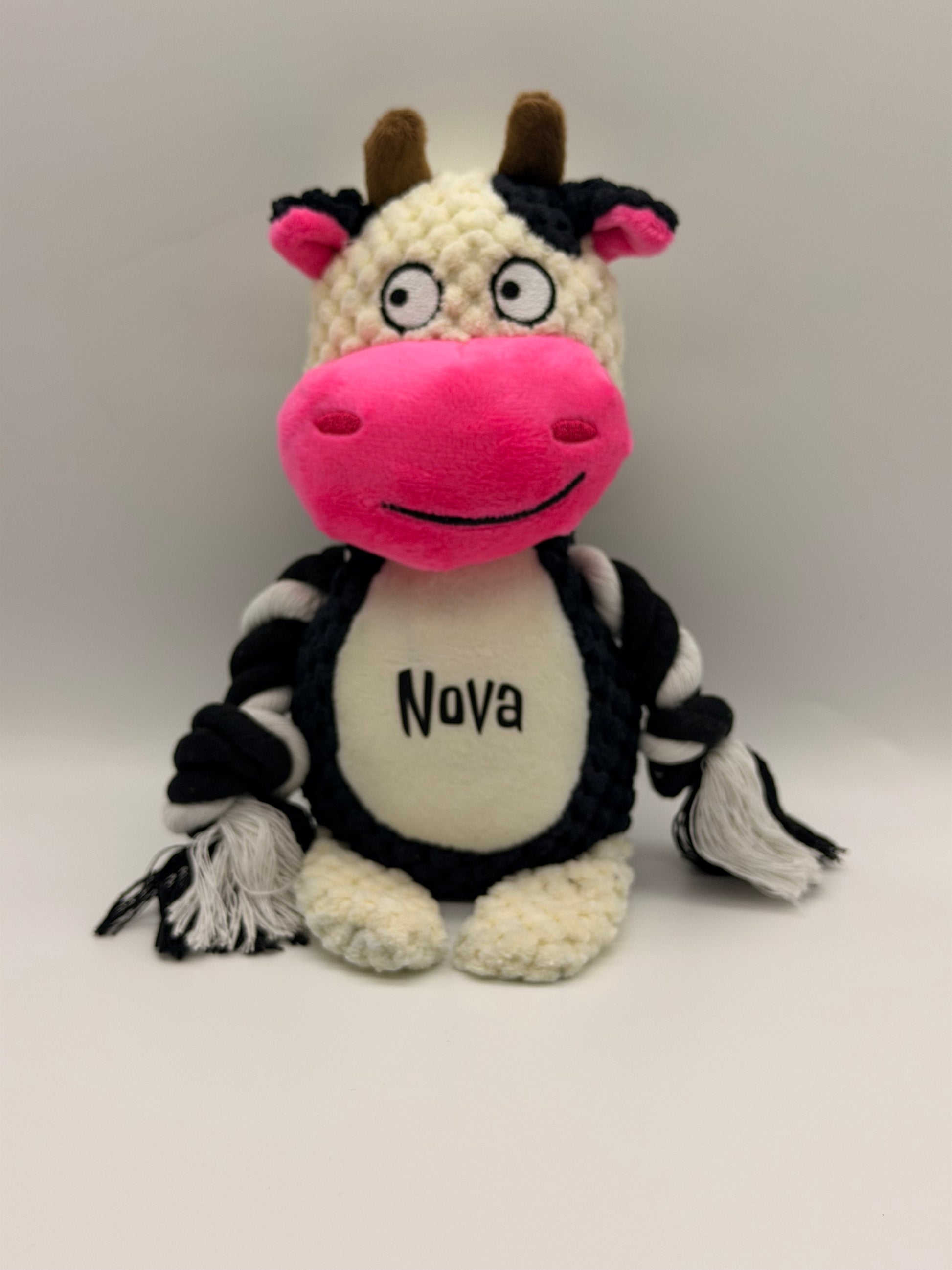 Personalised Plush Dog Toy