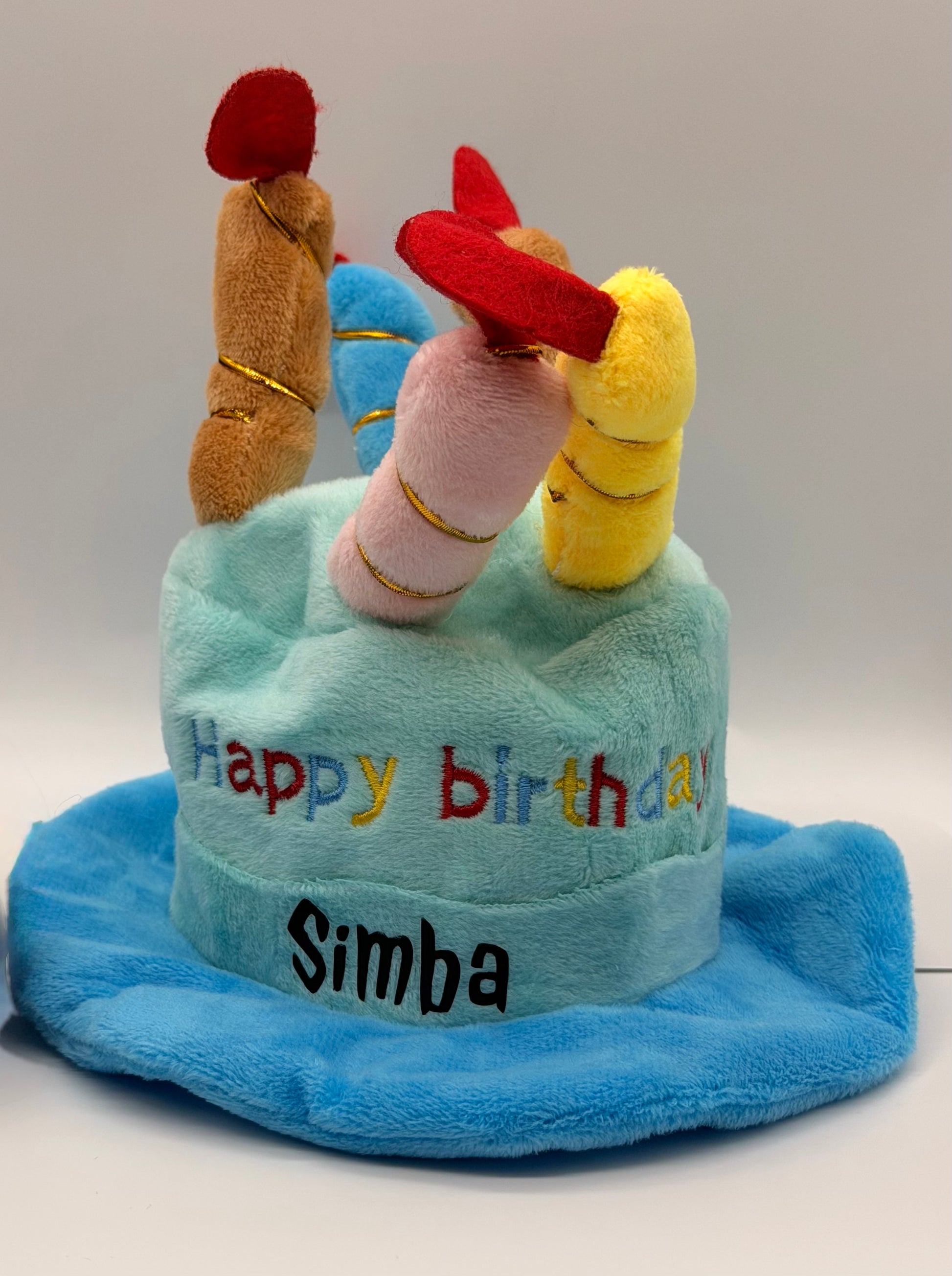 Personalised pet birthday hat