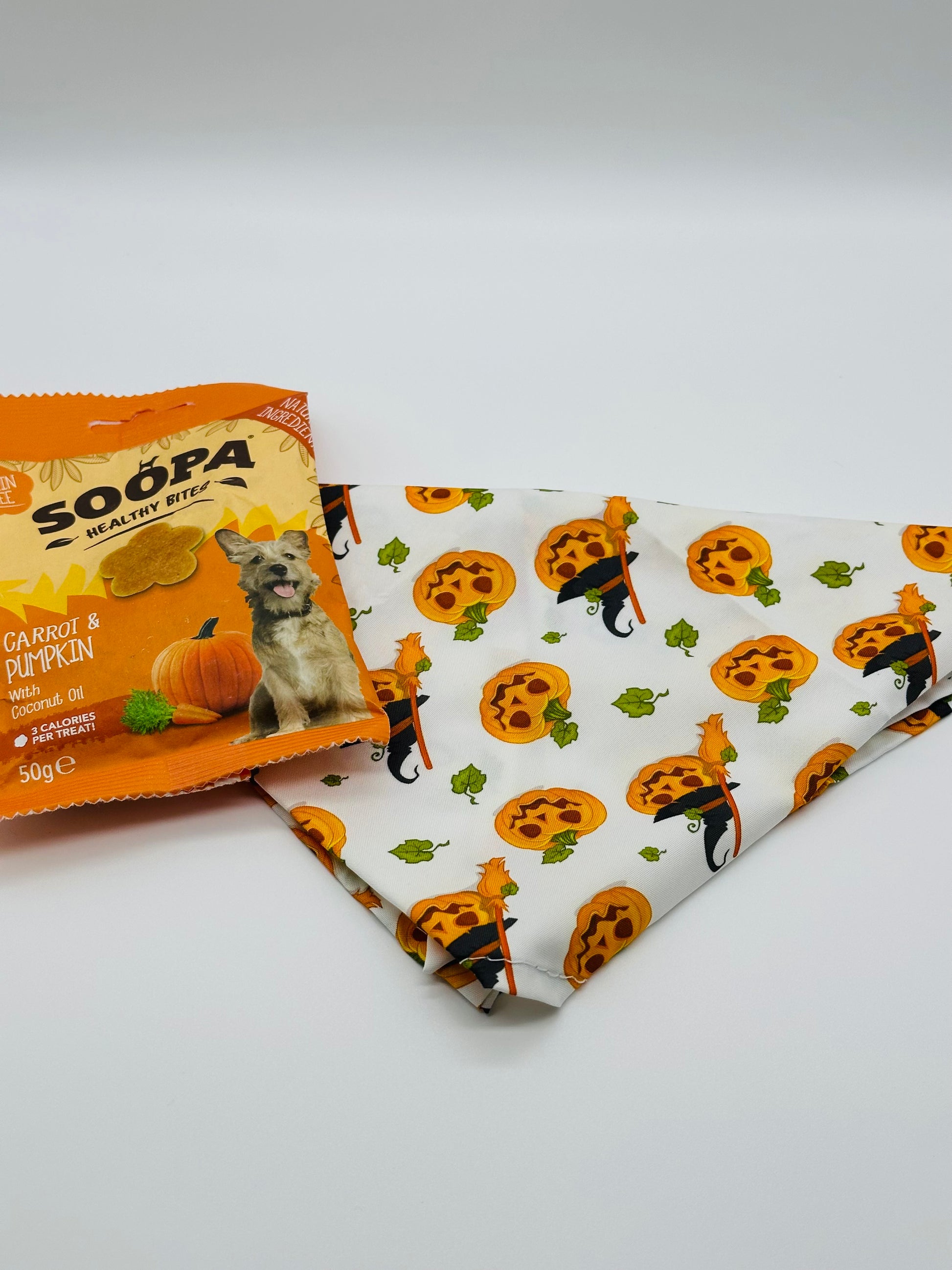 Dog Halloween Surprise with bandana, collar and treats