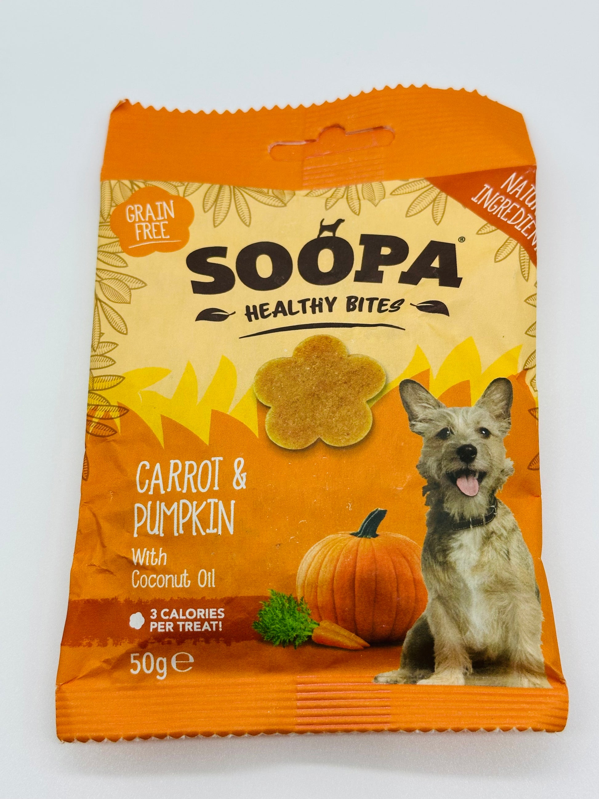 Dog Halloween Surprise with bandana, collar and treats