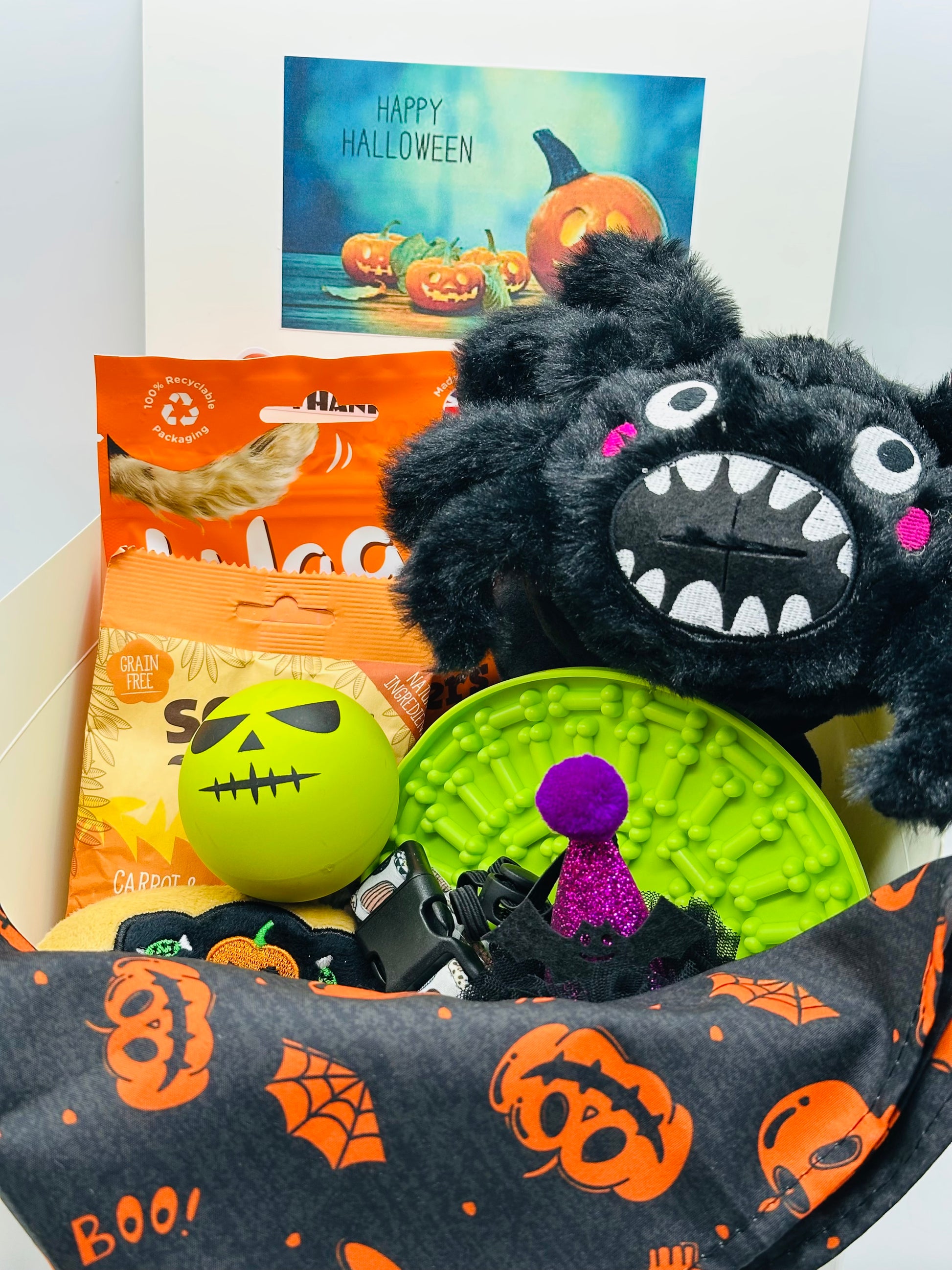 Dog Halloween Boo Box with selection of toys, treats, bandana, hat and collar