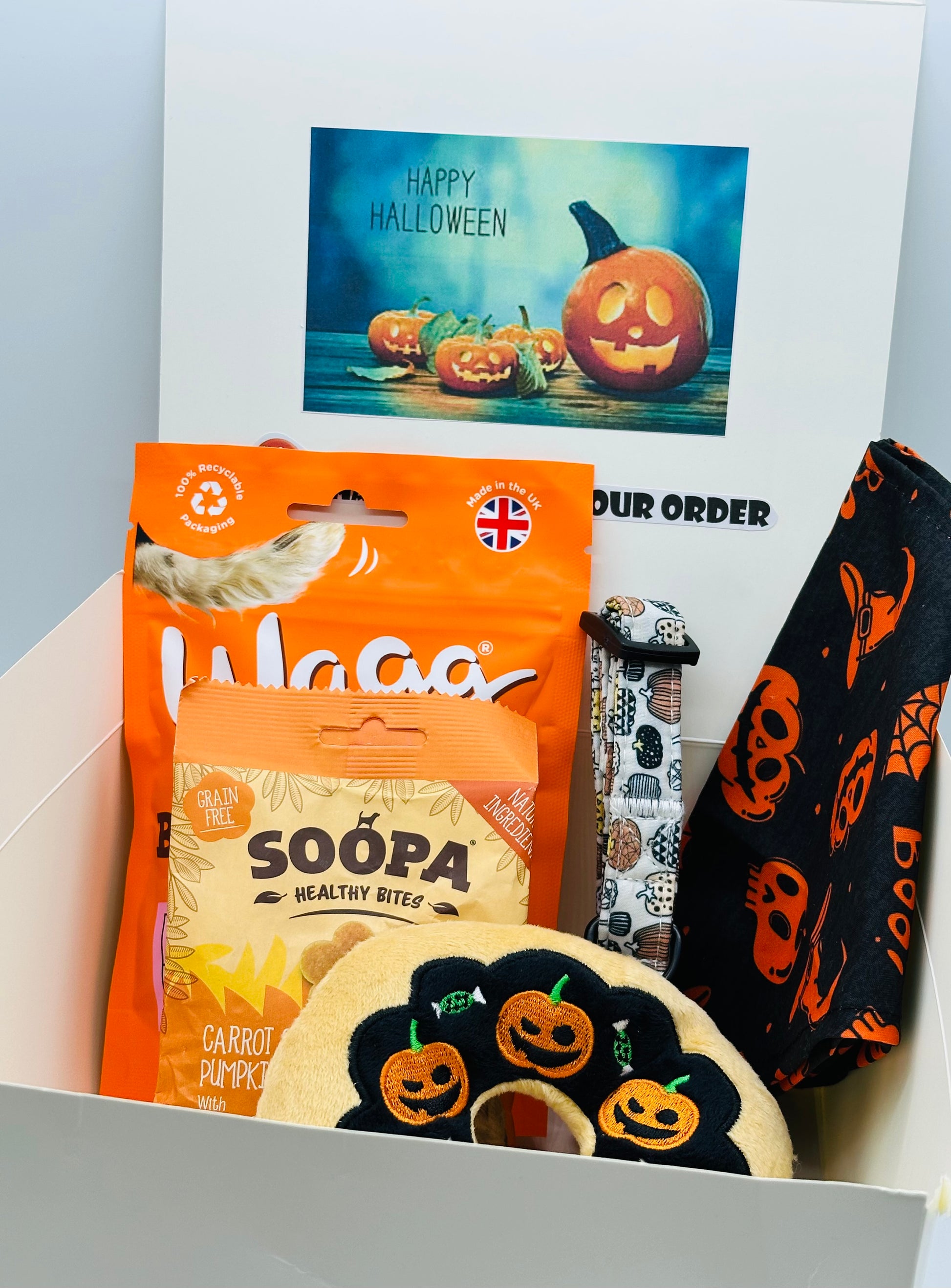 Dog Halloween Boo Box with bandana, collar, treats and toy