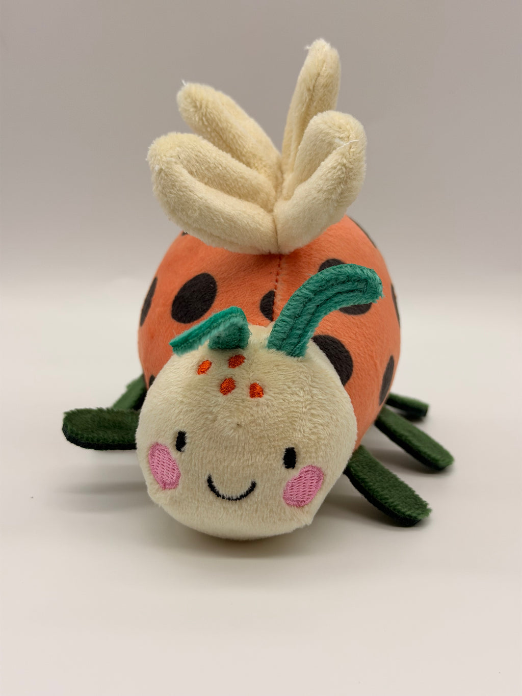 Personalised Ladybird Dog Toy – Custom Embroidered Name Plush Squeaky Toy