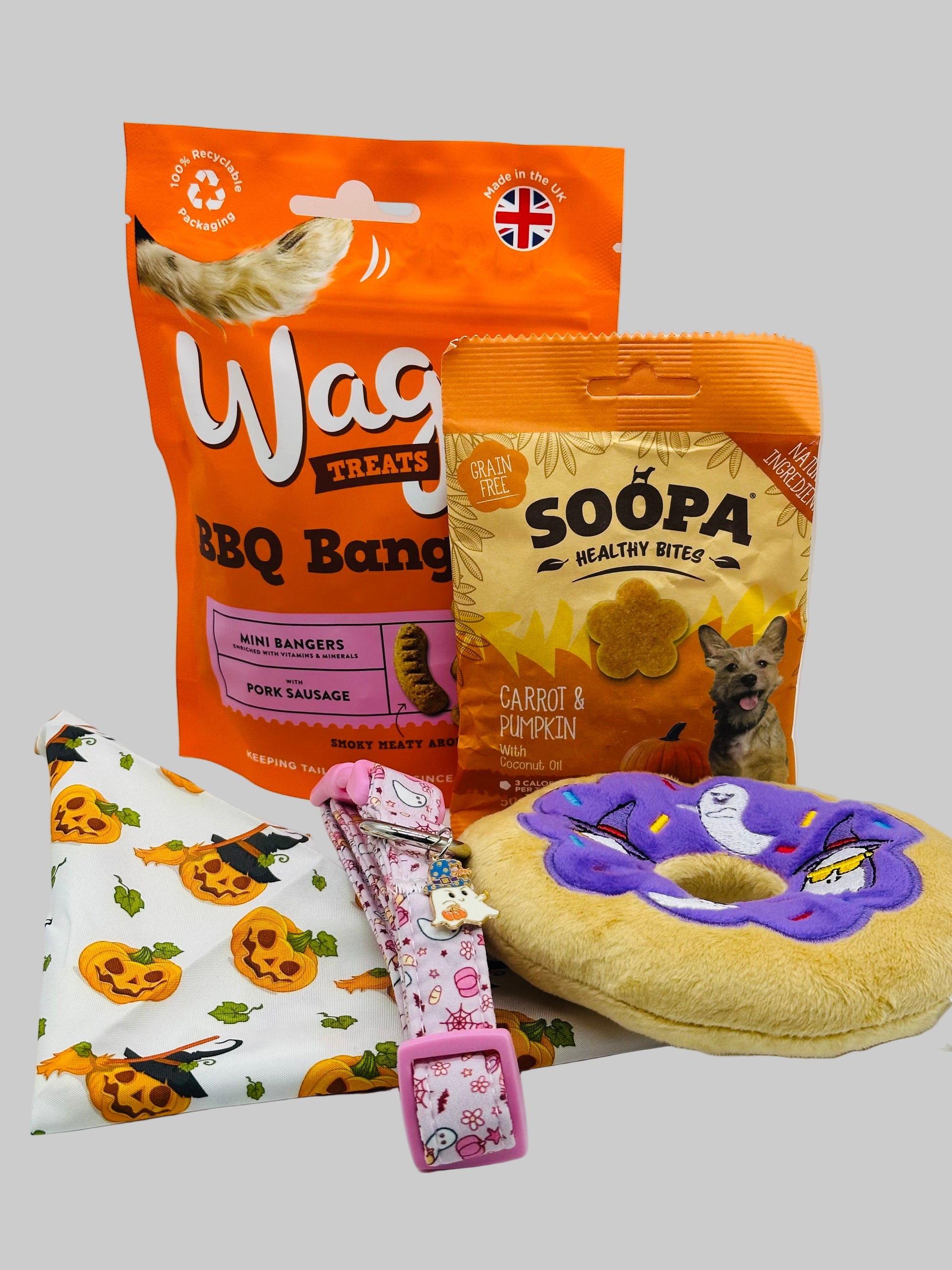 Dog Halloween Boo Box with bandana, collar, treats and toy