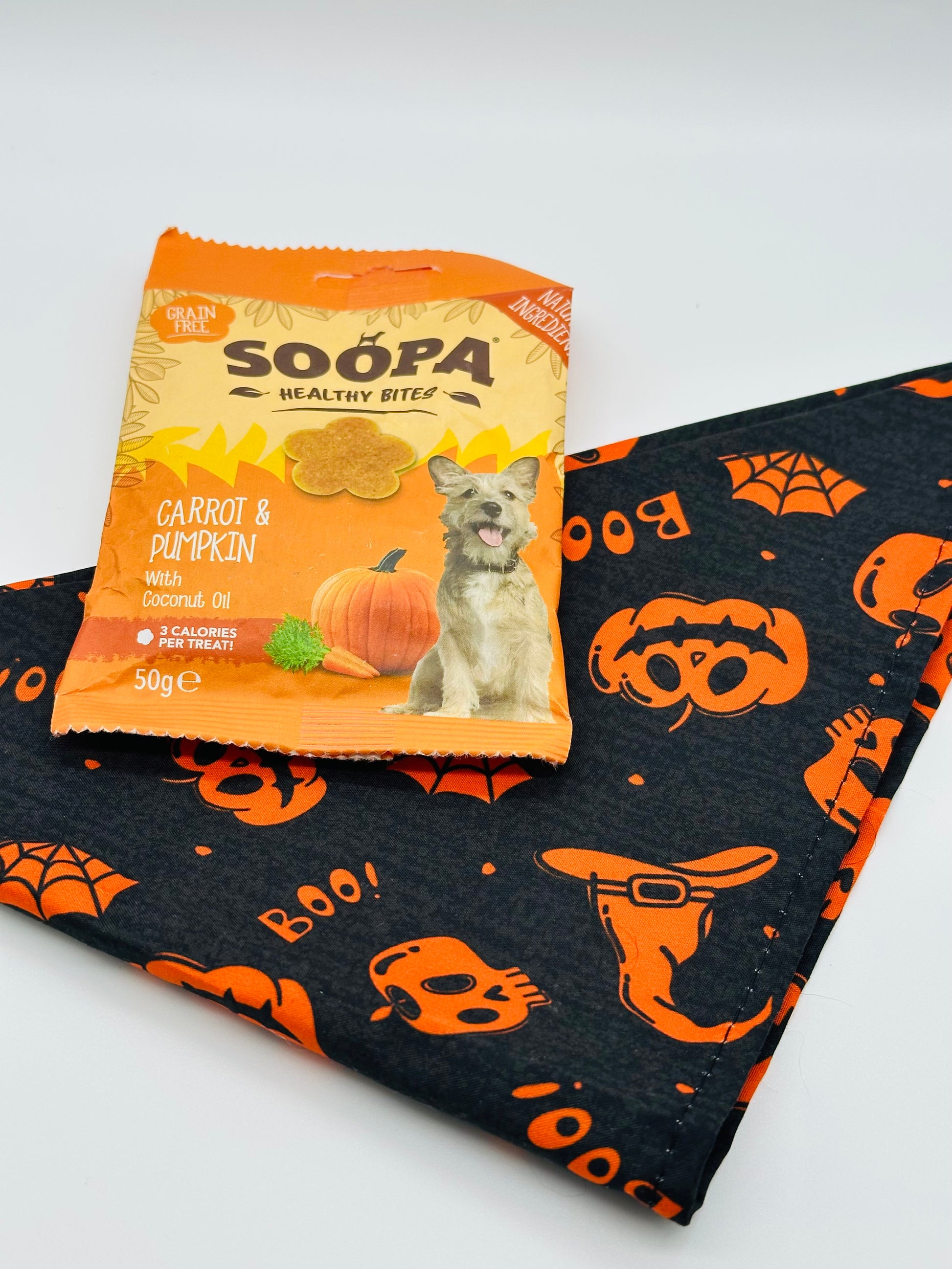 Dog Halloween Surprise with bandana, collar and treats
