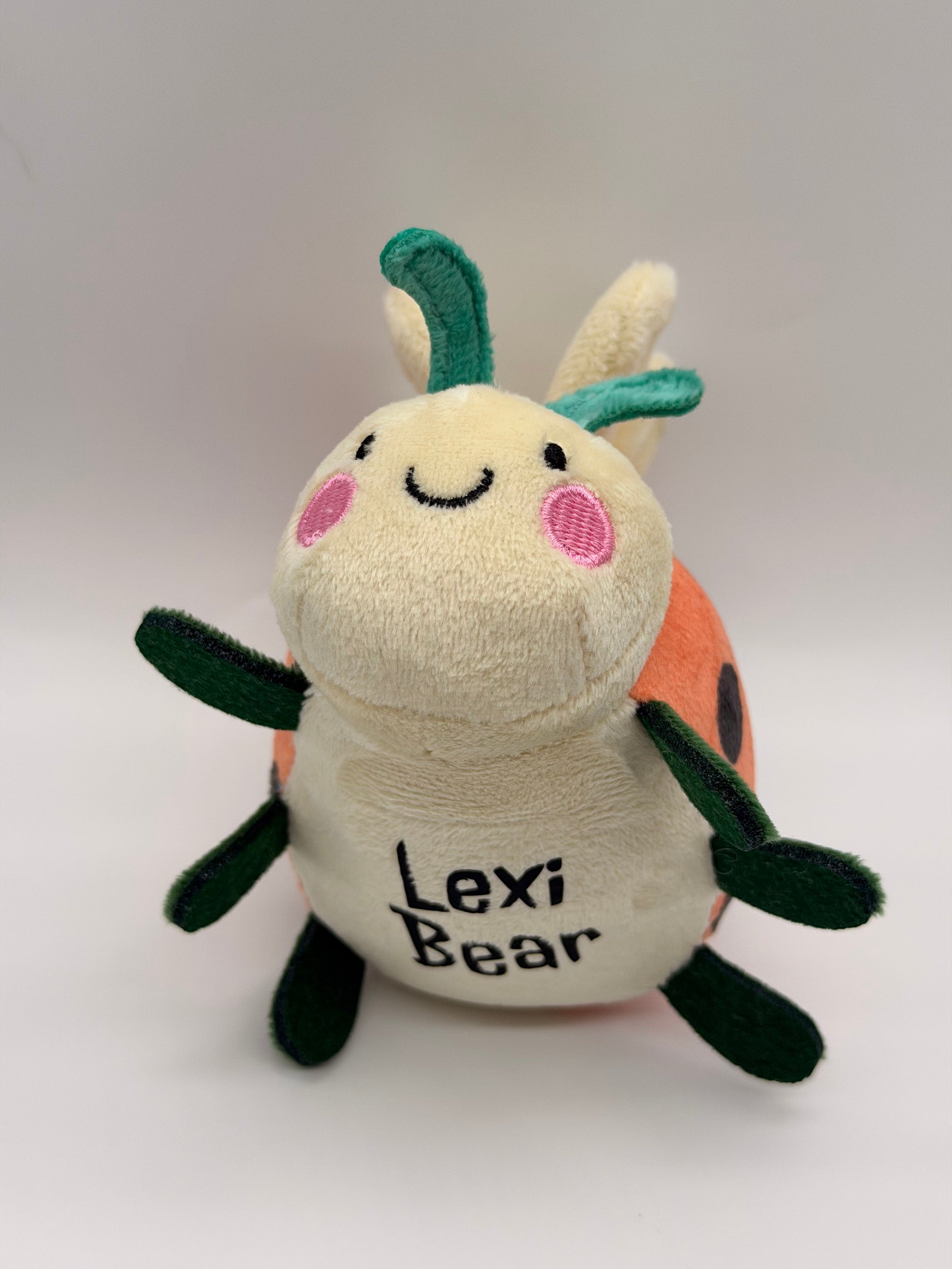 Personalised Ladybird Dog Toy – Custom Embroidered Name Plush Squeaky Toy