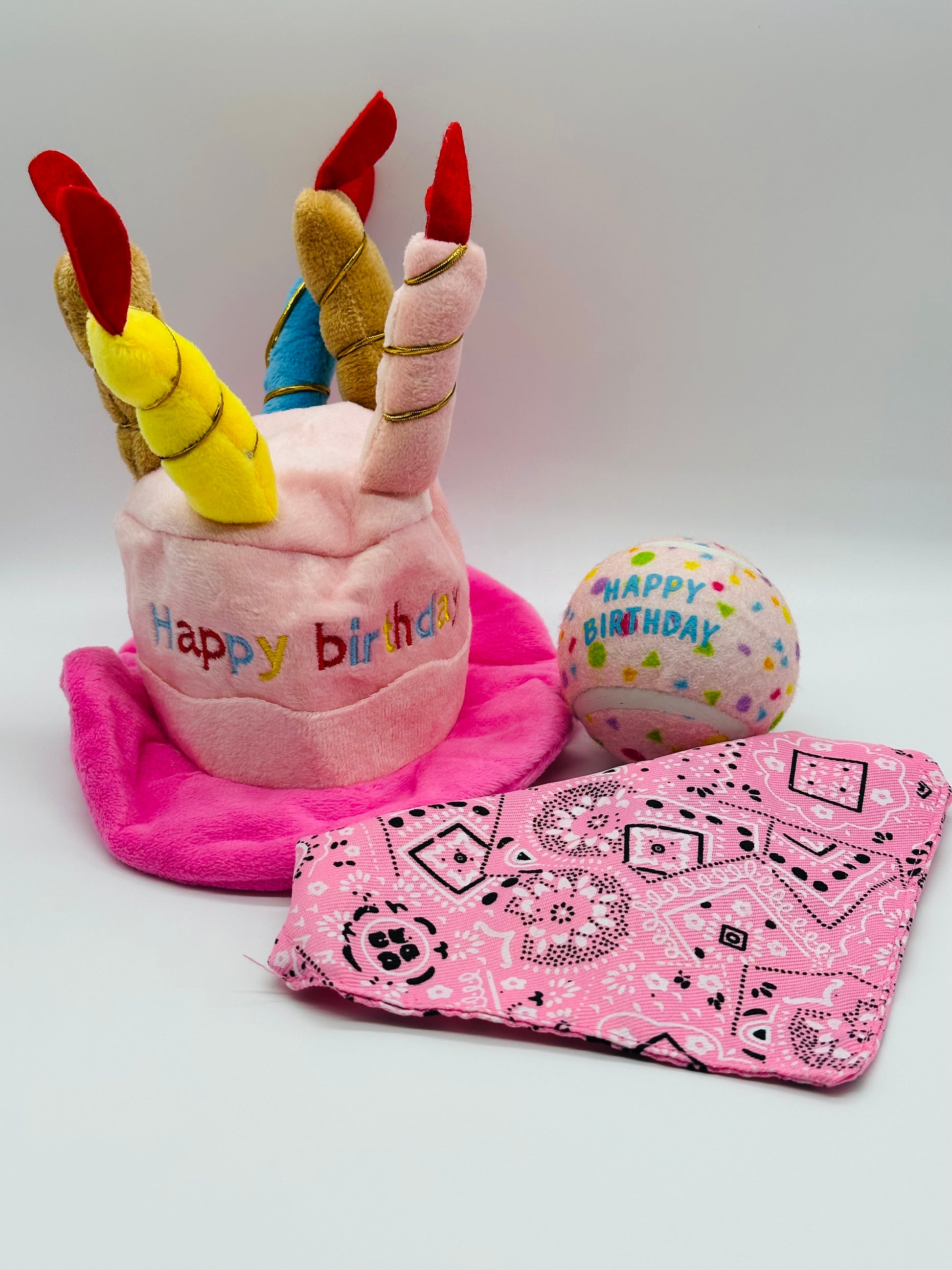 Dog birthday hat, ball, bandana and eclairs