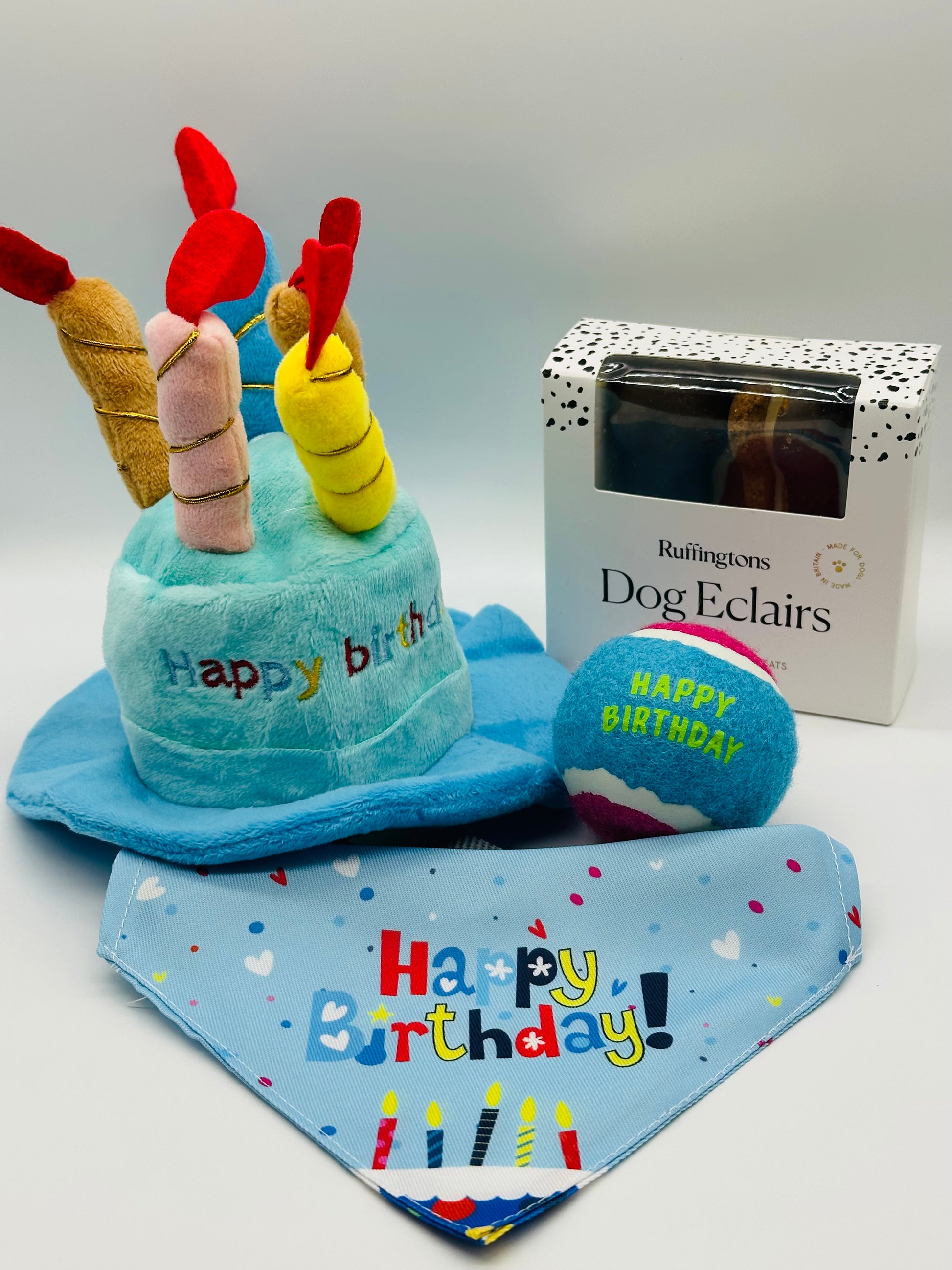 Dog birthday hat, ball, bandana and eclairs