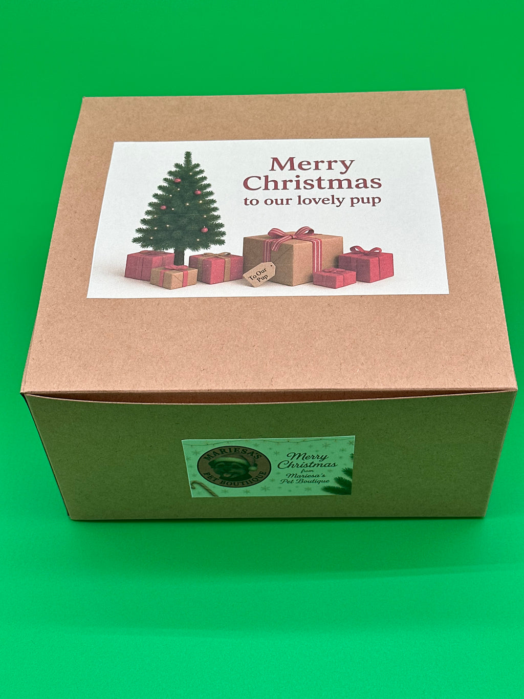 Personalised Cat Christmas gift box with interactive toy and treat bag