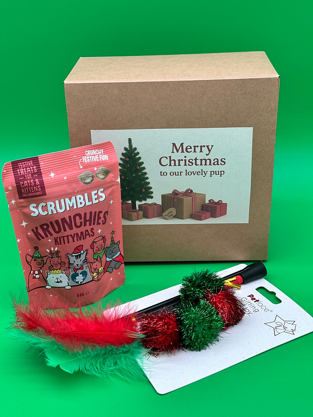 Personalised Cat Christmas gift box with interactive toy and treat bag