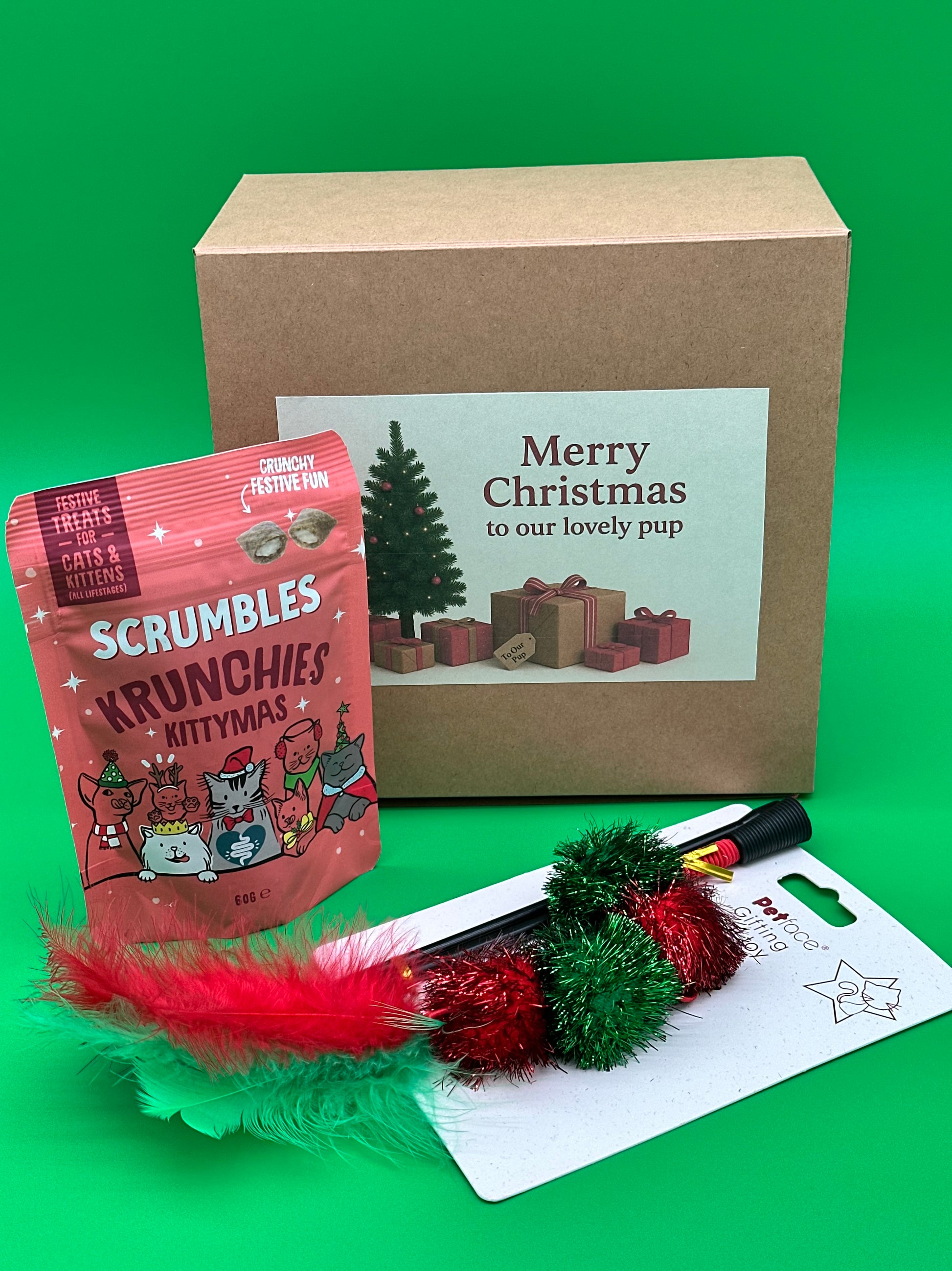 Personalised Cat Christmas gift box with interactive toy and treat bag