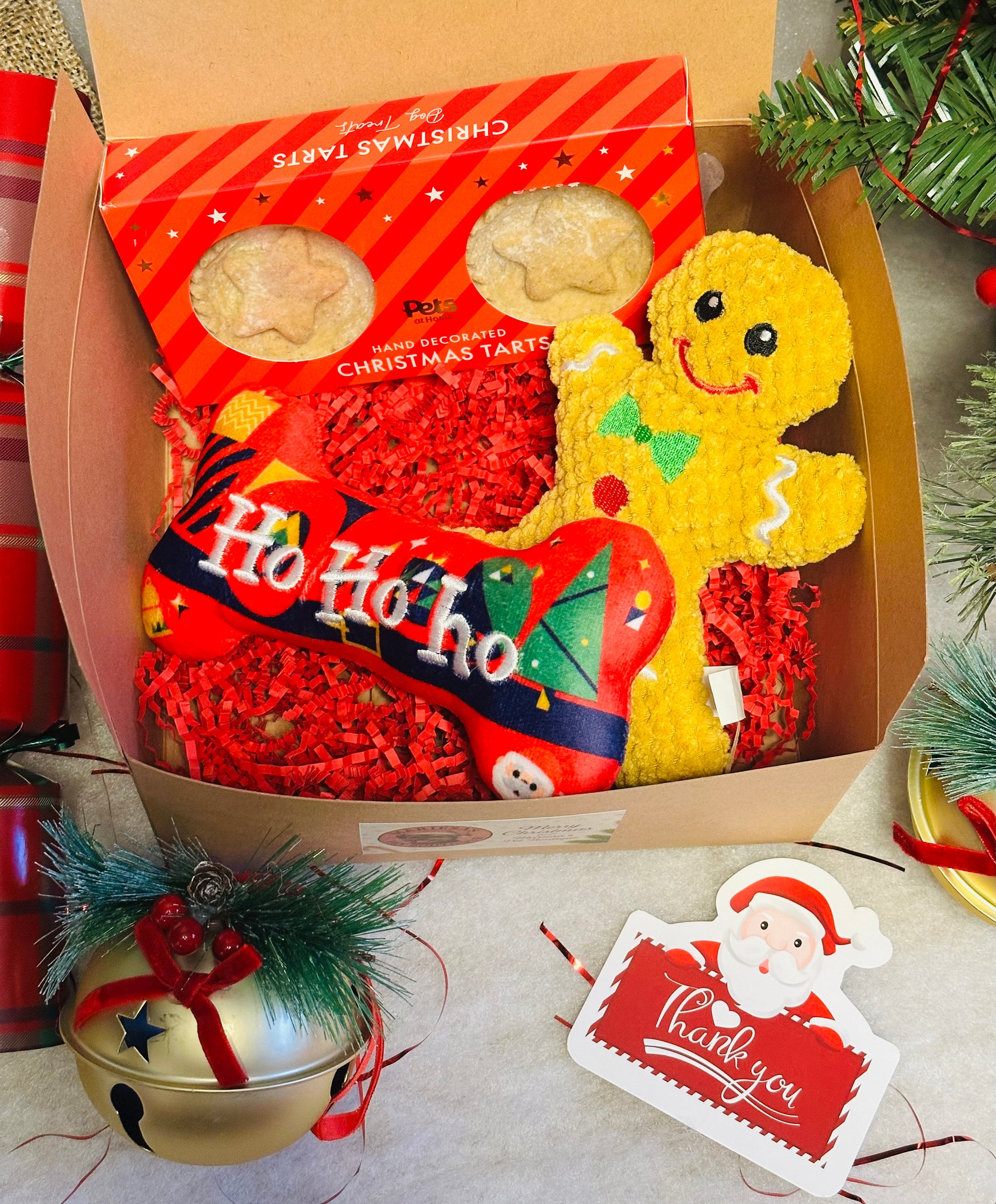 Dog Personalised Christmas box with soft gingerbread toy, squeaky bone and treats