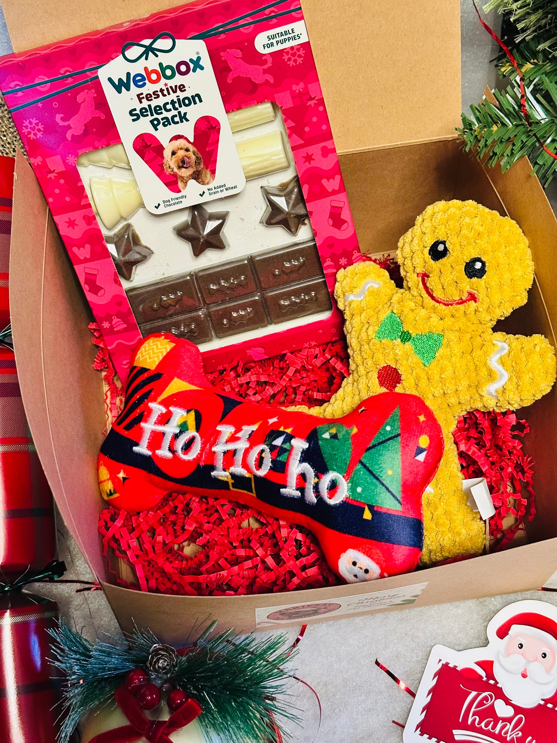 Dog Personalised Christmas box with soft gingerbread toy, squeaky bone and treats