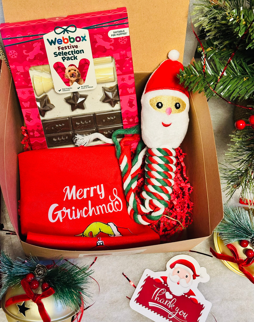 Dog Personalised Christmas box with a Santa rope toy, Christmas bandana and treats