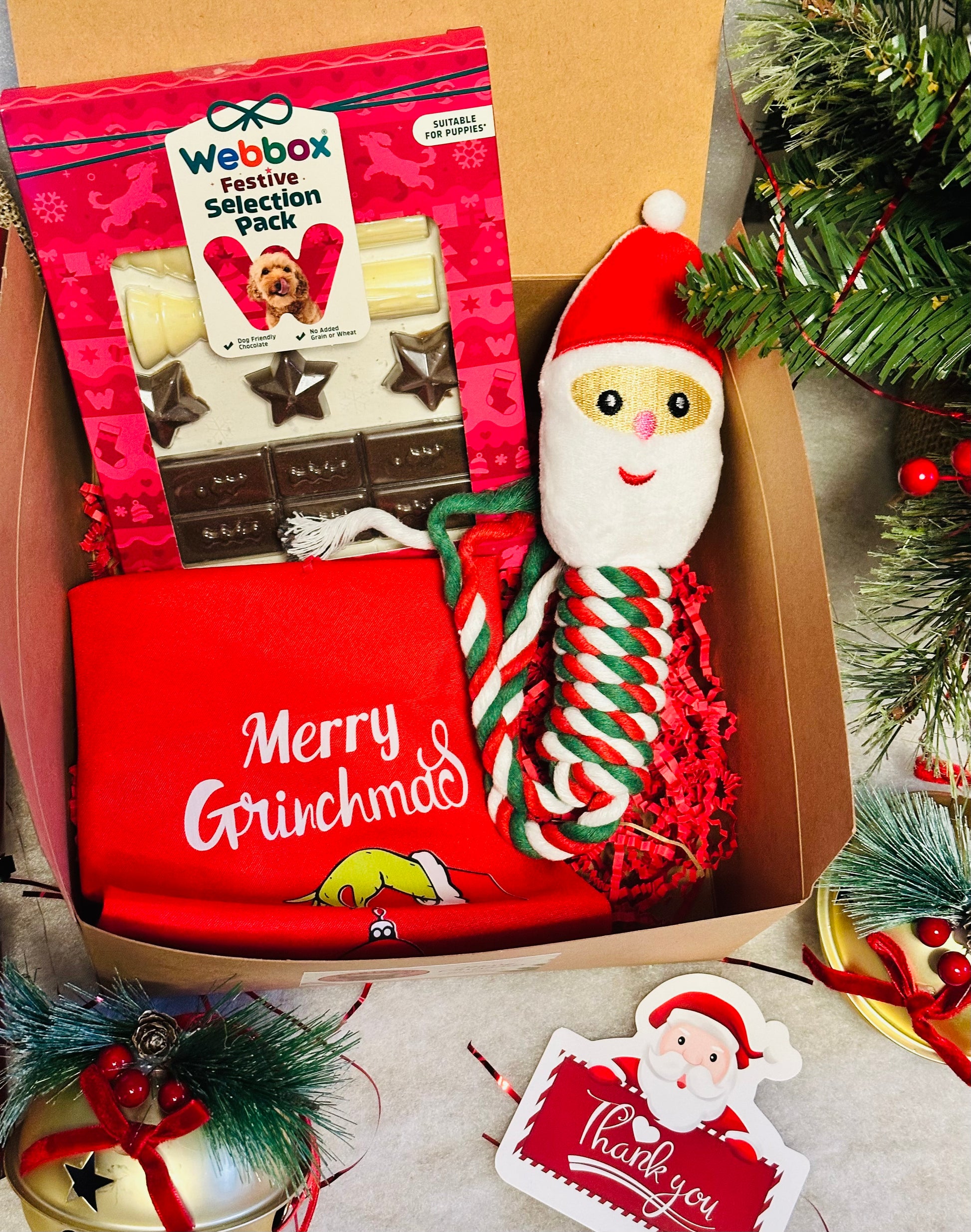 Dog Personalised Christmas box with a Santa rope toy, Christmas bandana and treats