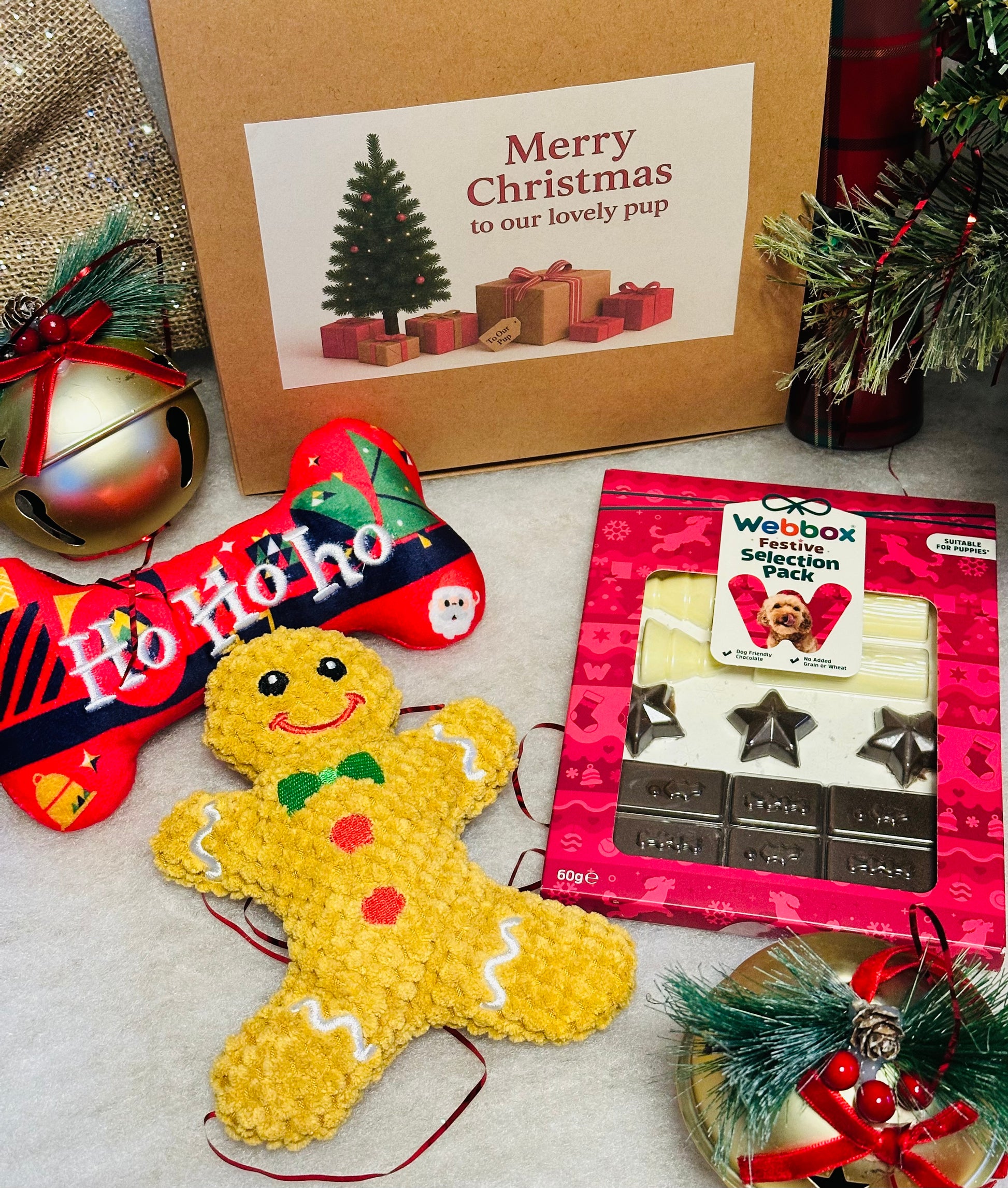 Dog Personalised Christmas box with soft gingerbread toy, squeaky bone and treats