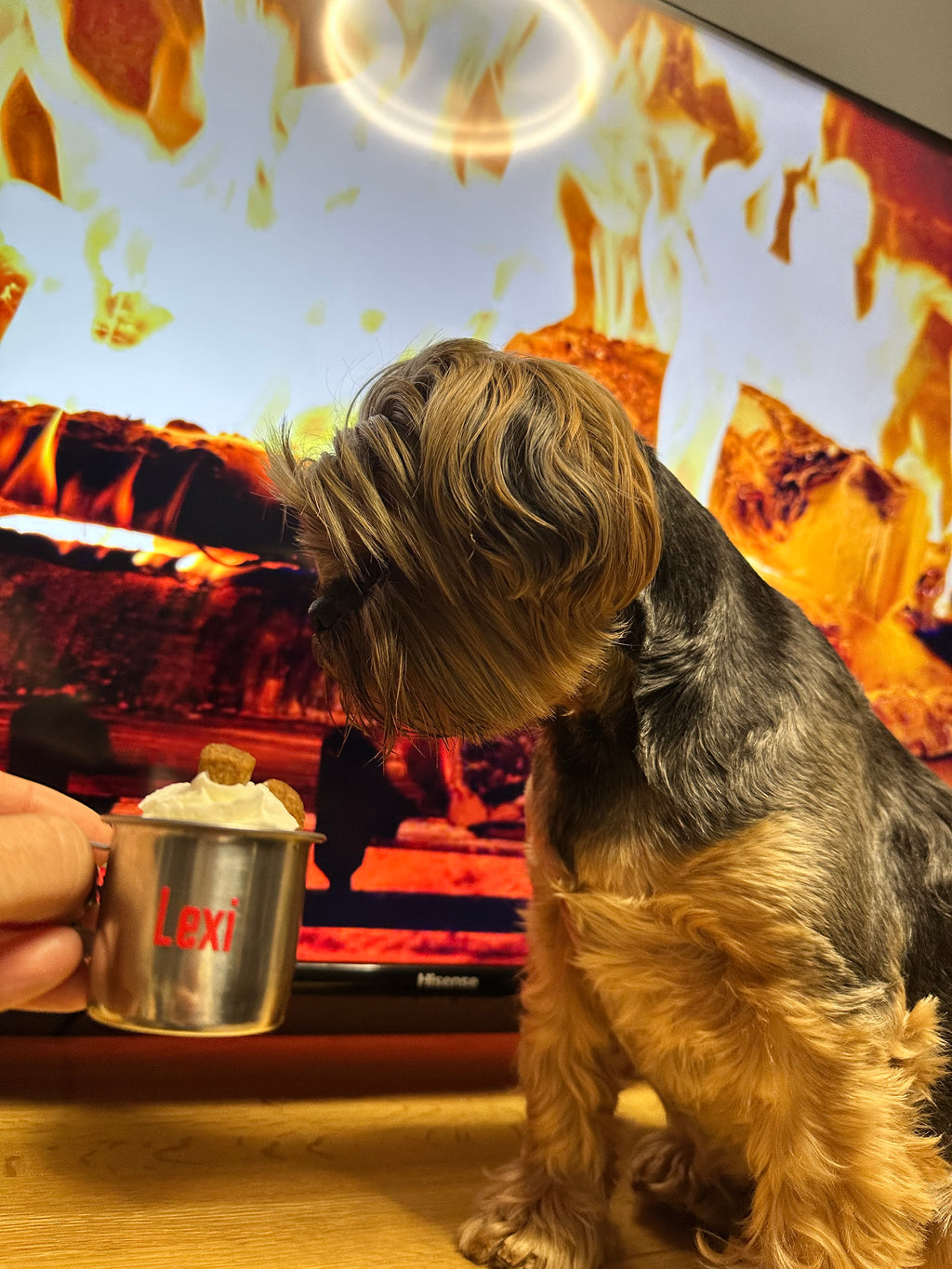 Personalised Pup Cup with Christmas Treat Bag