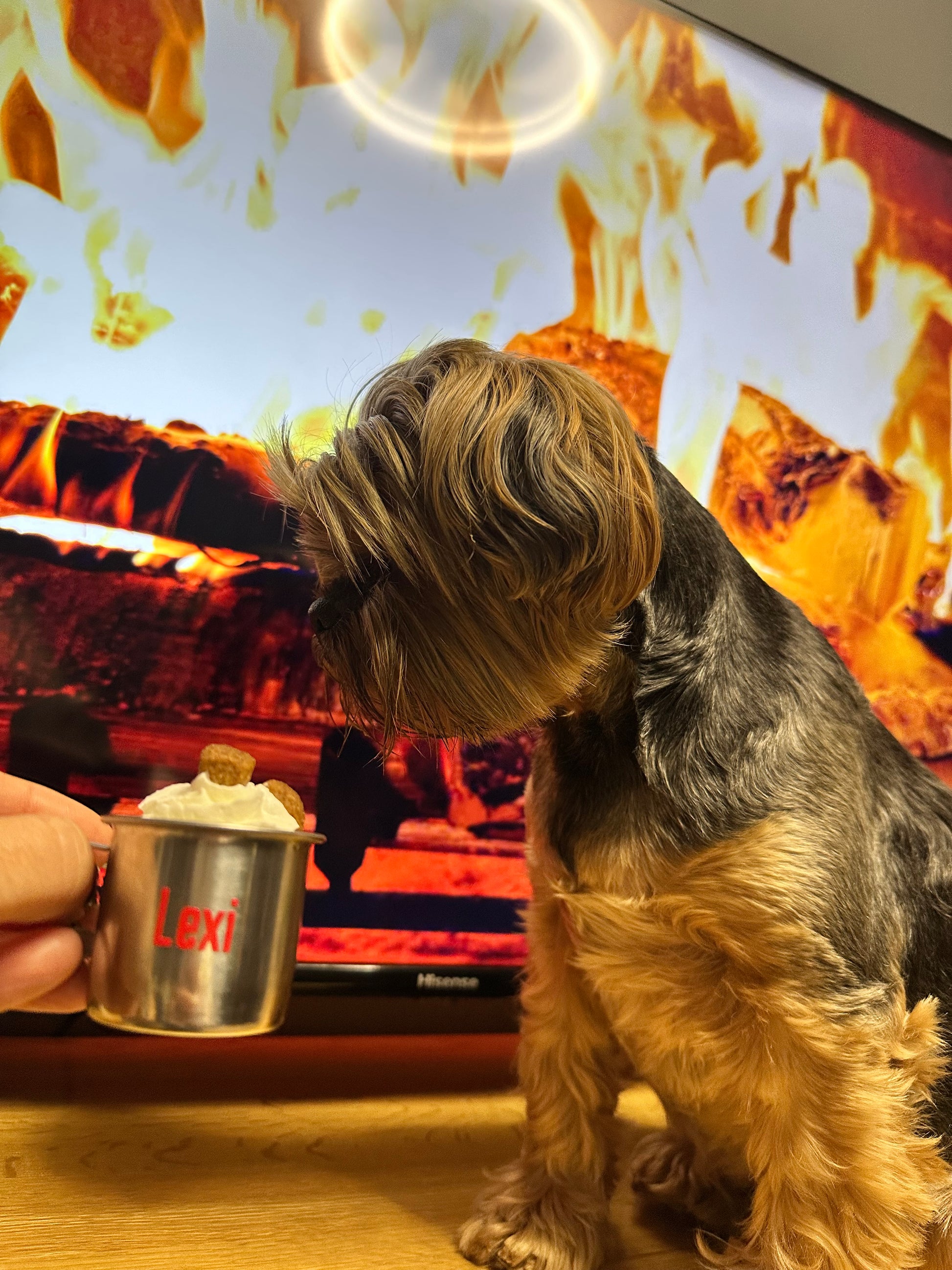 Personalised Pup Cup with Christmas Treat Bag