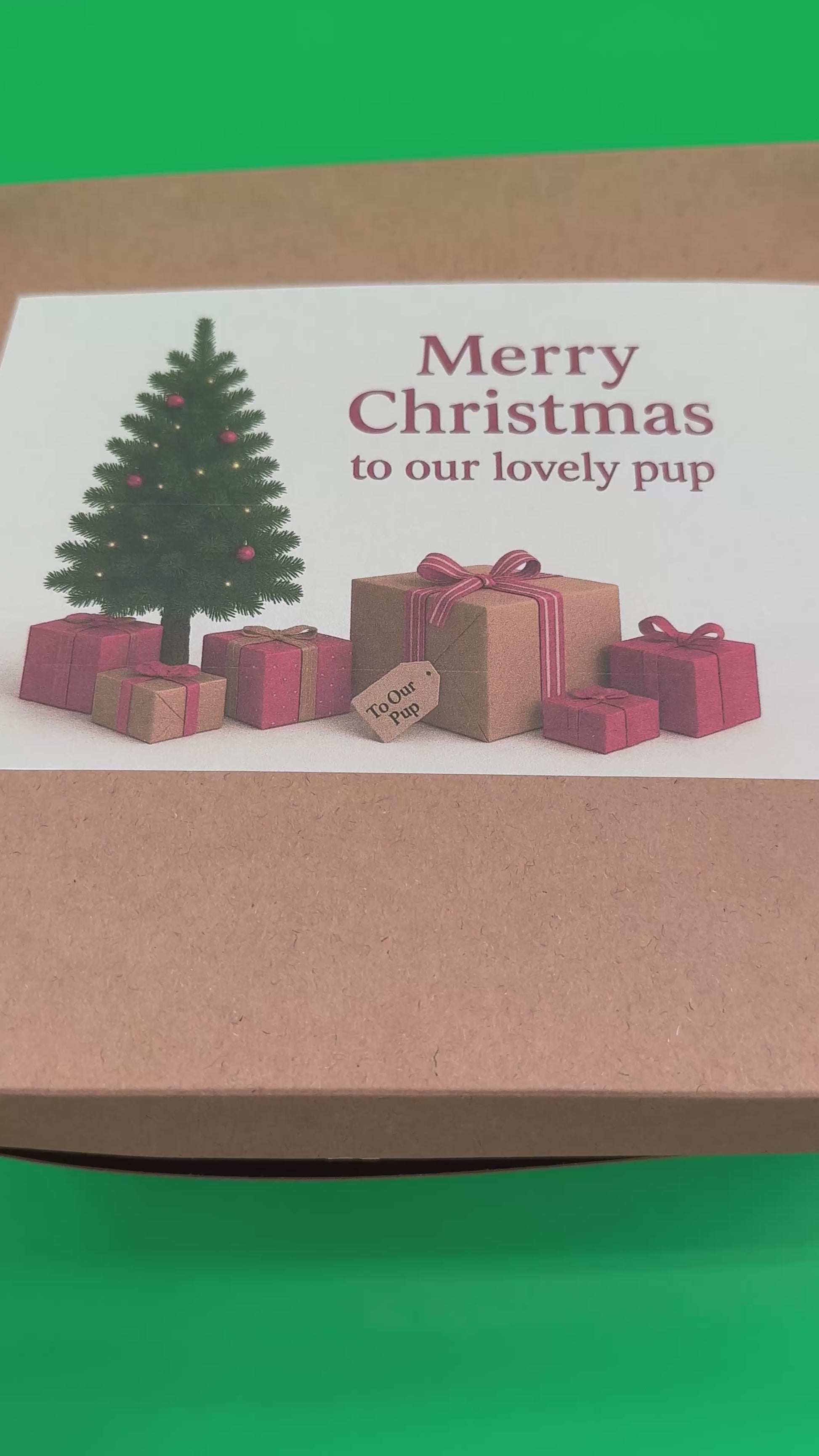 Christmas dog box with teddy, treats, Christmas tree, bandana and ball