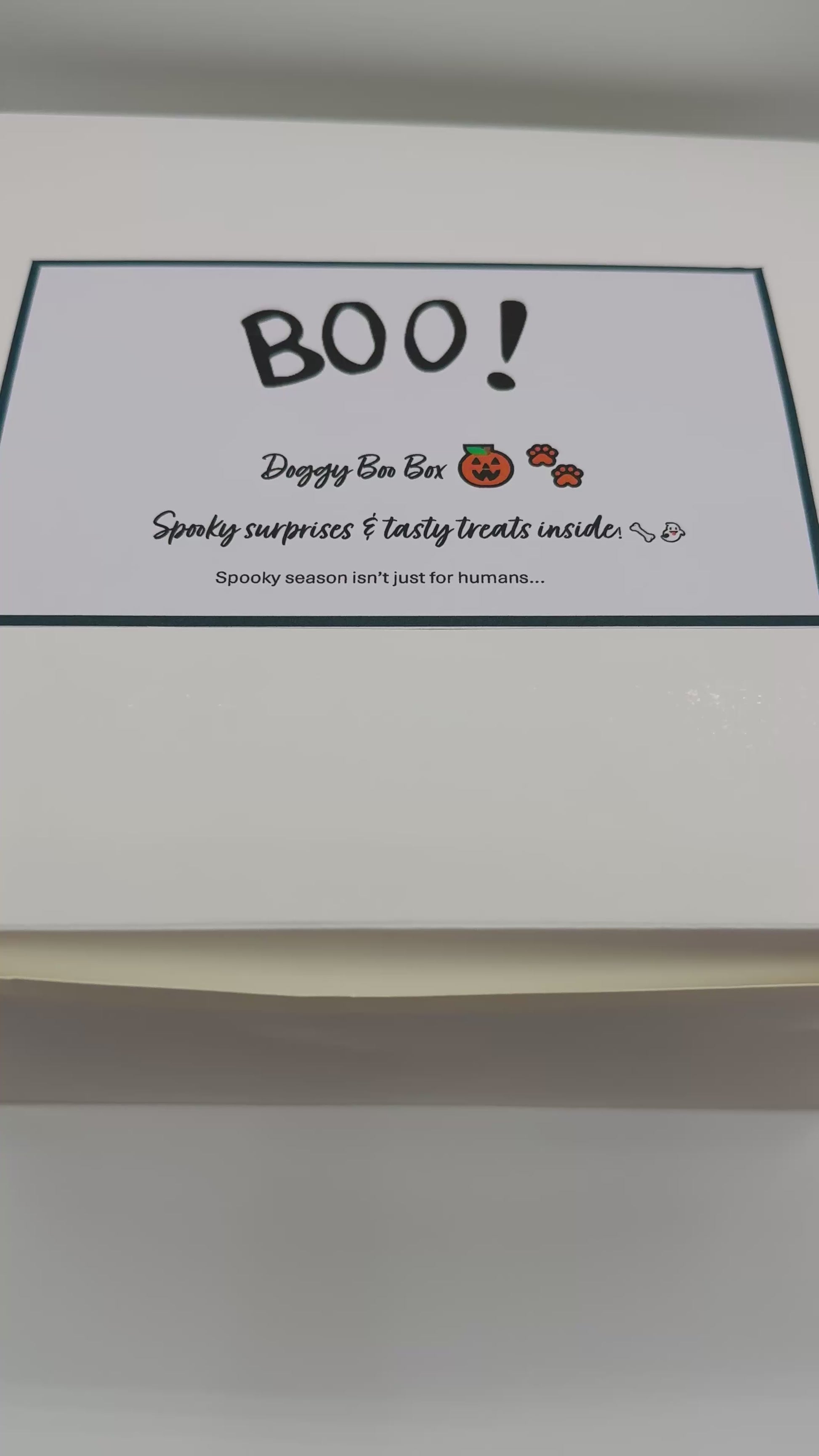 Dog Halloween Boo Box with bandana, collar, treats and toy