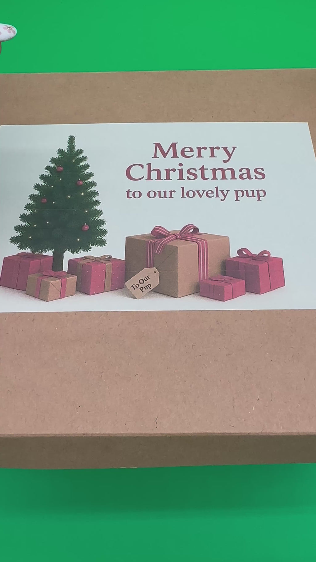 Dog Christmas Gift with a soft toy, treats and toys