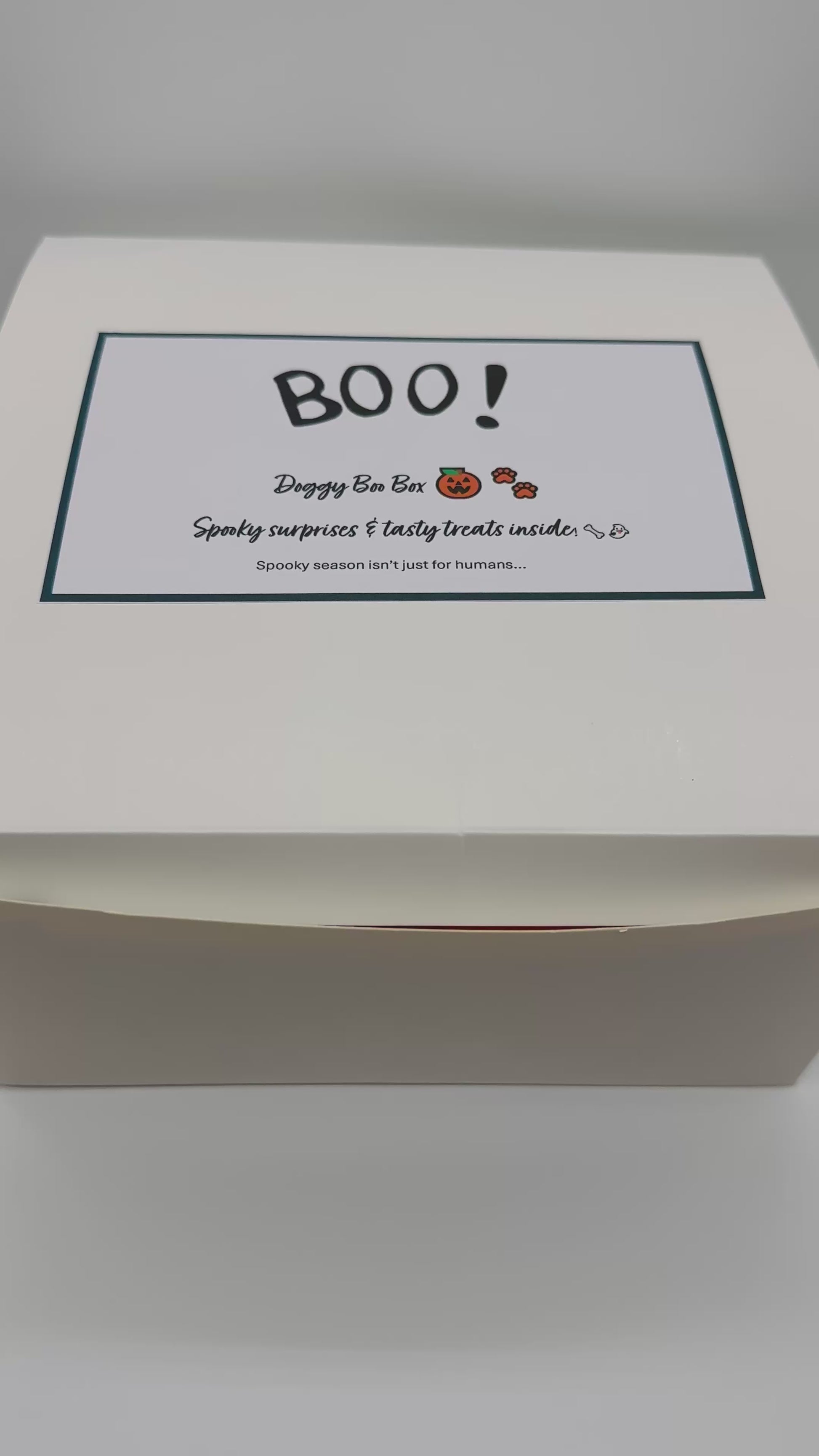 Dog Halloween Boo Box with selection of toys, treats, bandana, hat and collar
